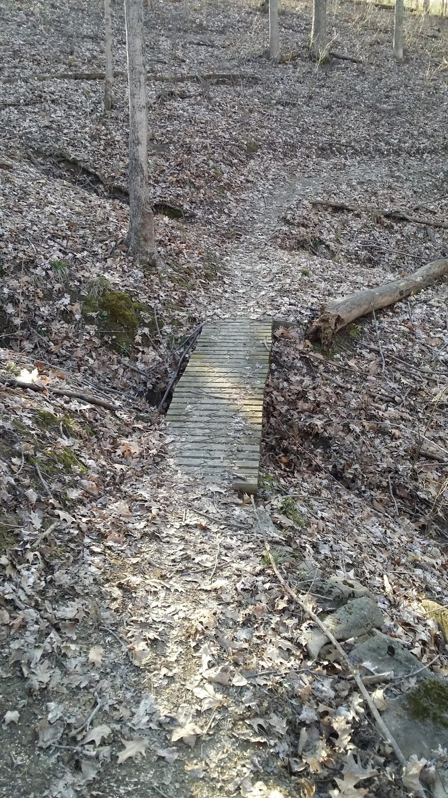 A narrow wooden bridge crossing a small ravine in a forested area, surrounded by fallen leaves and trees. A dirt path leads up to the bridge, indicating a trail for hikers. Skullbuster mountain bike trail.