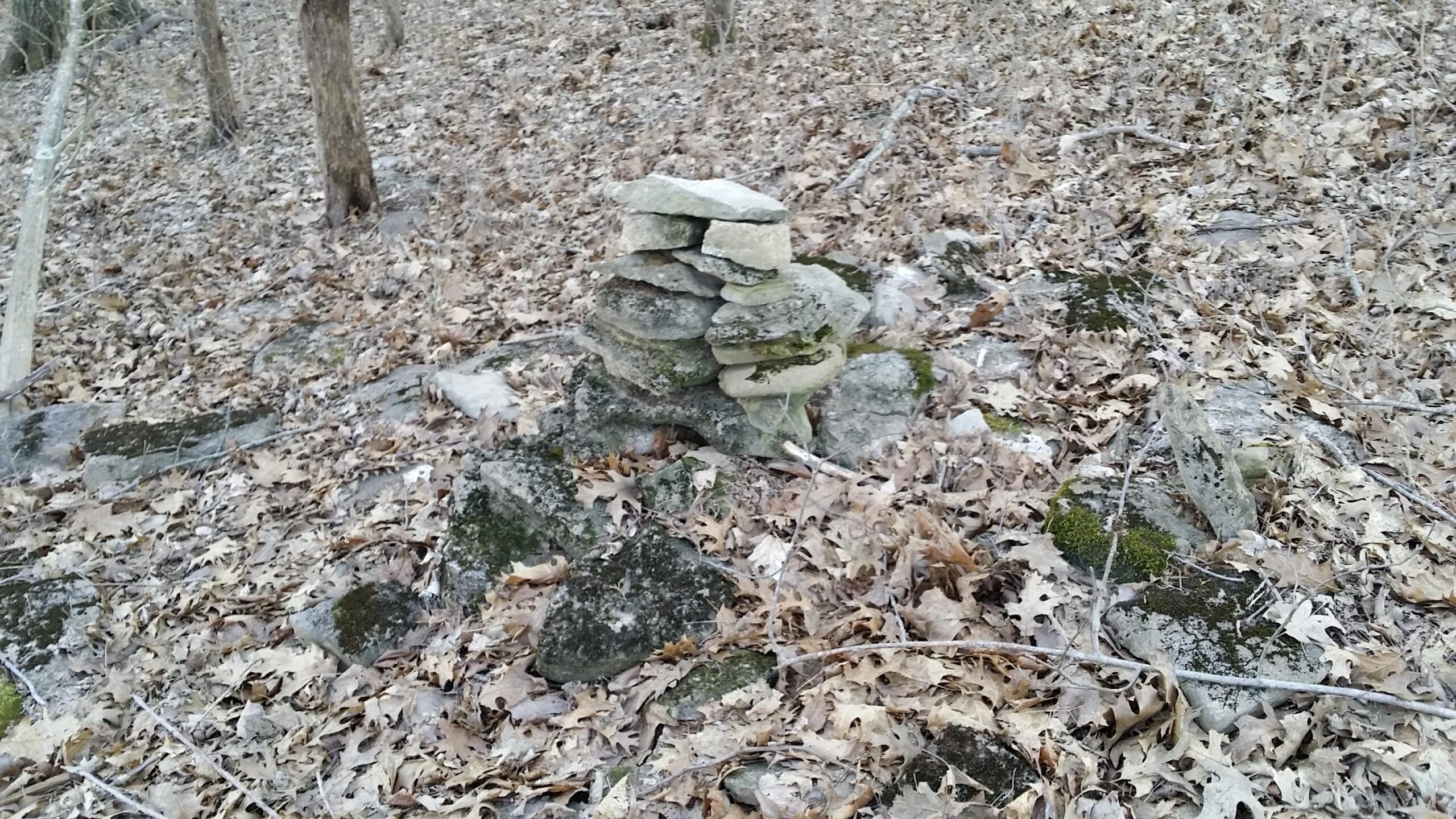 A small stone cairn made of stacked rocks sits on the forest floor, surrounded by fallen leaves and bare trees, creating a natural, earthy scene. Skullbuster mountain bike trail.