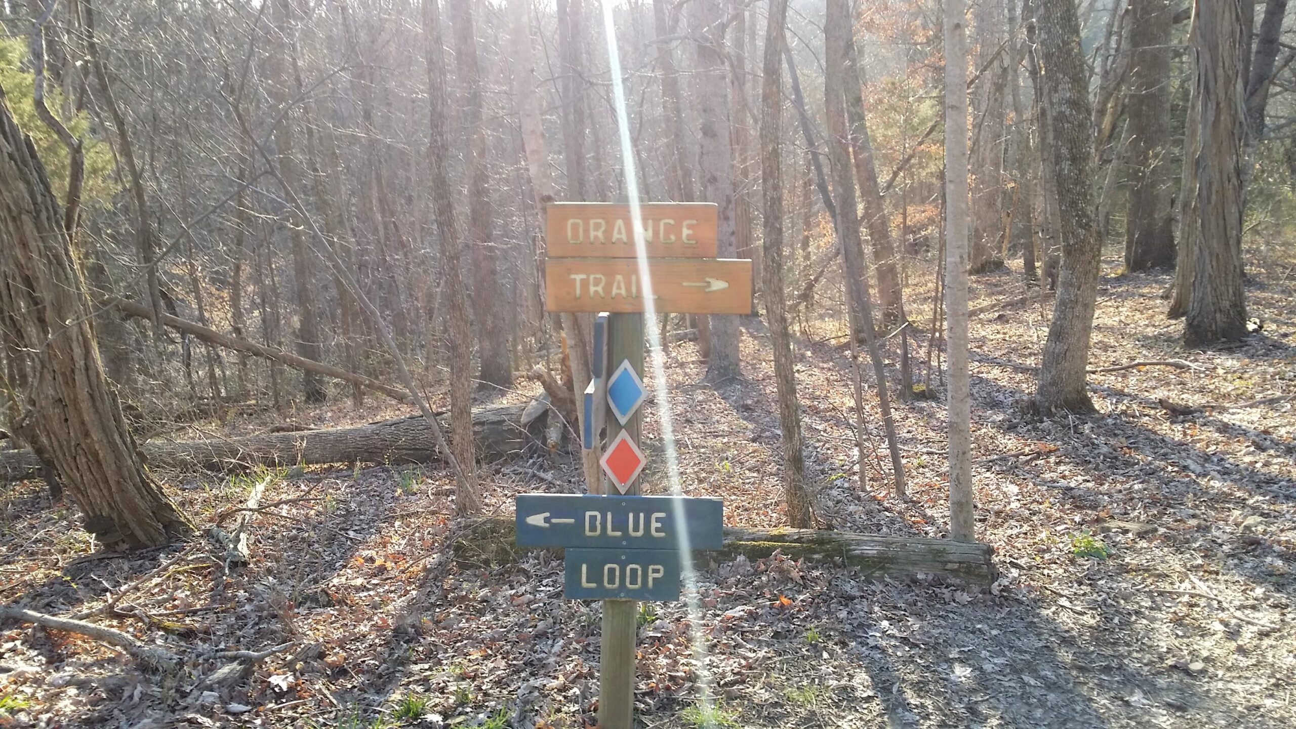 A wooden trail sign in a forested area indicating directions for the Orange Trail and Blue Loop, surrounded by trees and foliage. Skullbuster mountain bike trail.