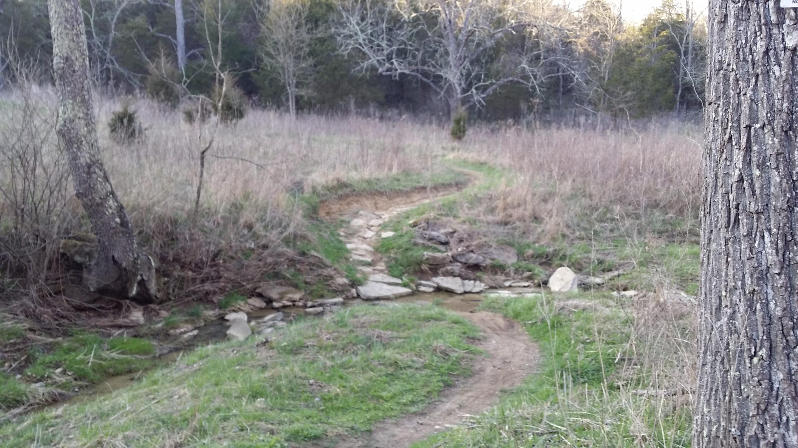 A winding dirt path surrounded by grasses and sparse trees, leading to a small, rocky stream. The scene captures the tranquility of a natural setting with a mix of greenery and earthy tones. Skullbuster mountain bike trail.