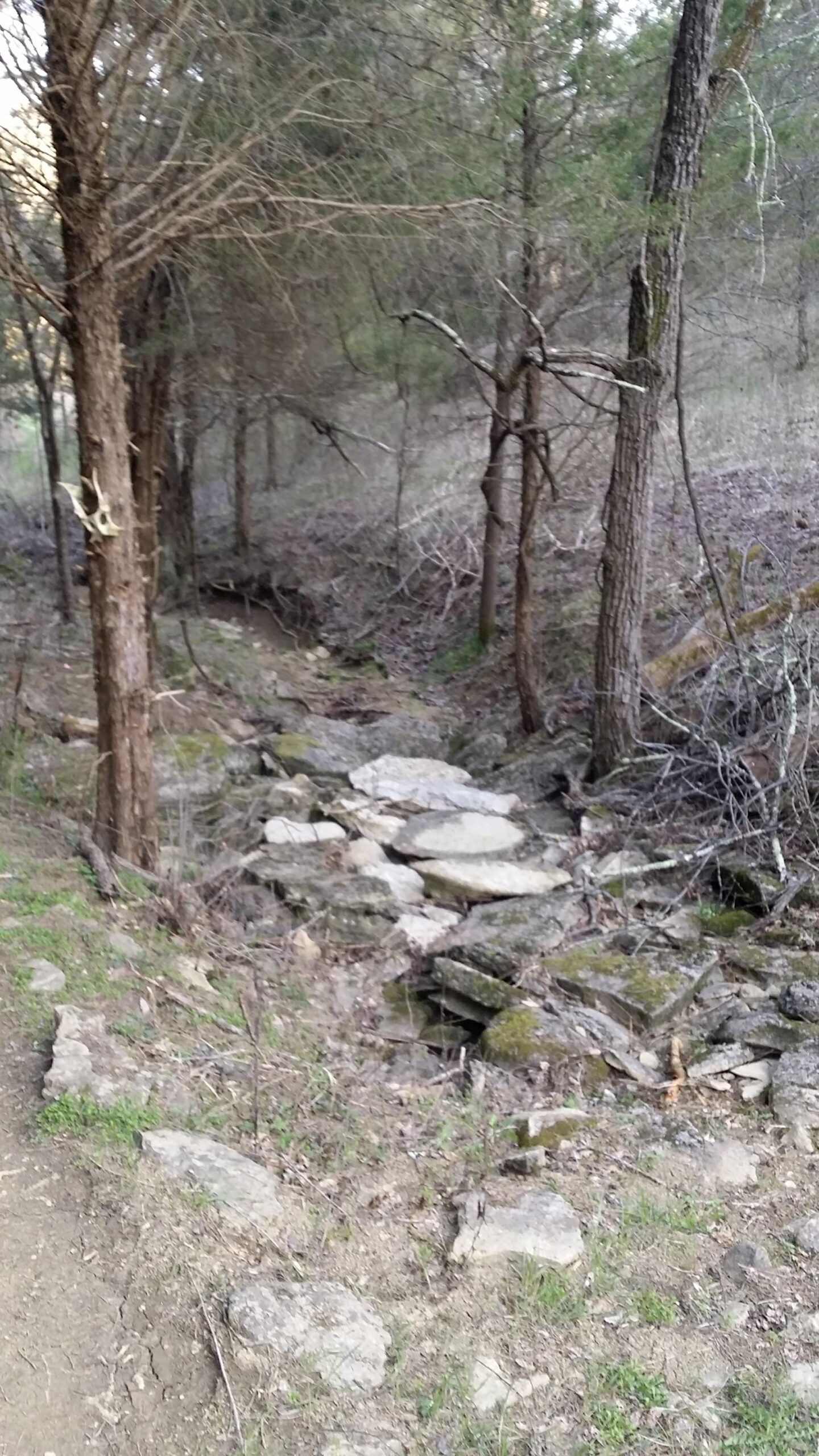 A rocky creek bed surrounded by trees and underbrush, with a dirt path running alongside it. The area is covered in sparse vegetation and shows signs of a dry season. Skullbuster mountain bike trail.