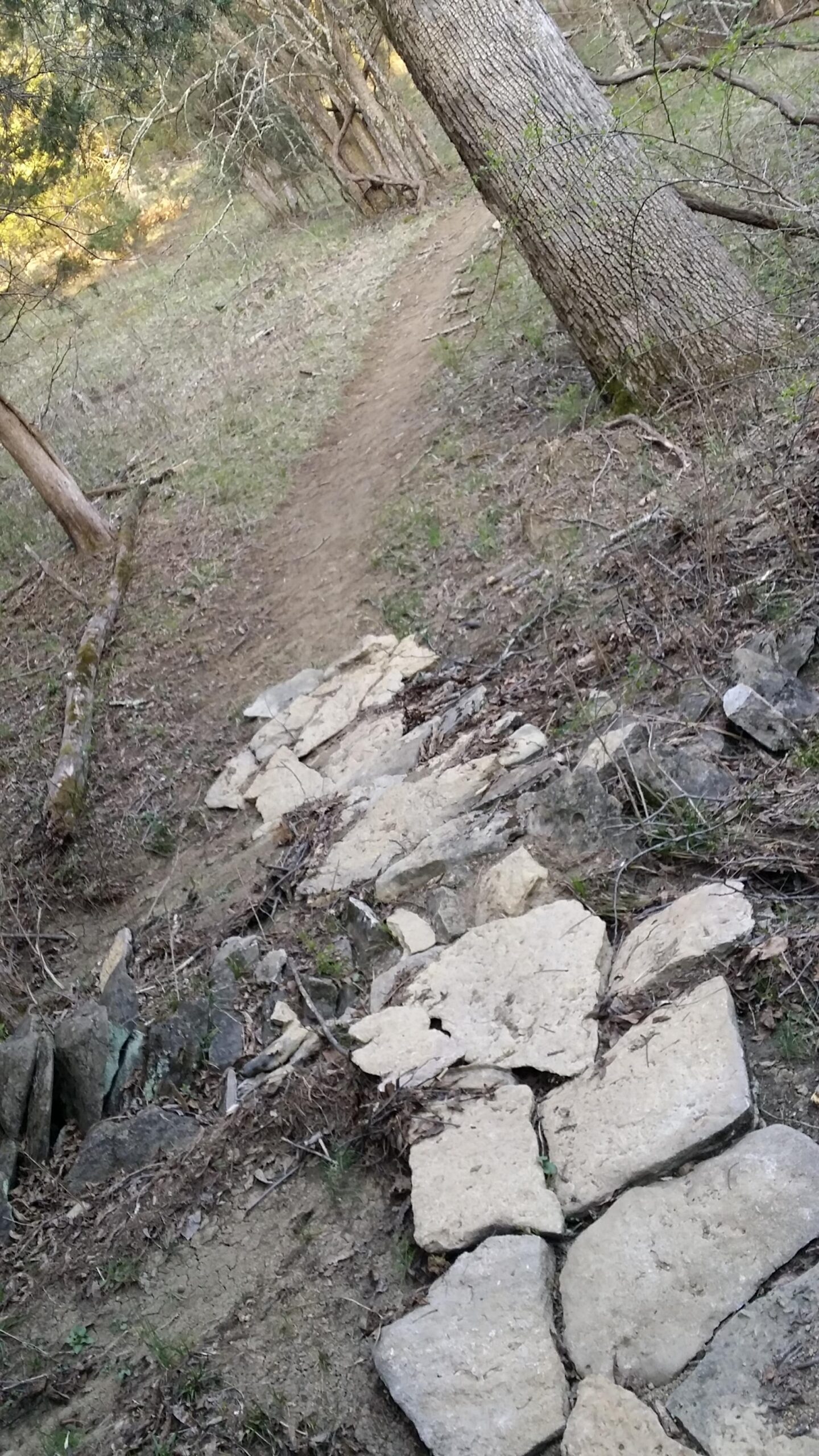 A dirt hiking trail winding through a forested area, featuring a rugged path made of large stones and surrounded by shrubs and trees. Skullbuster mountain bike trail.