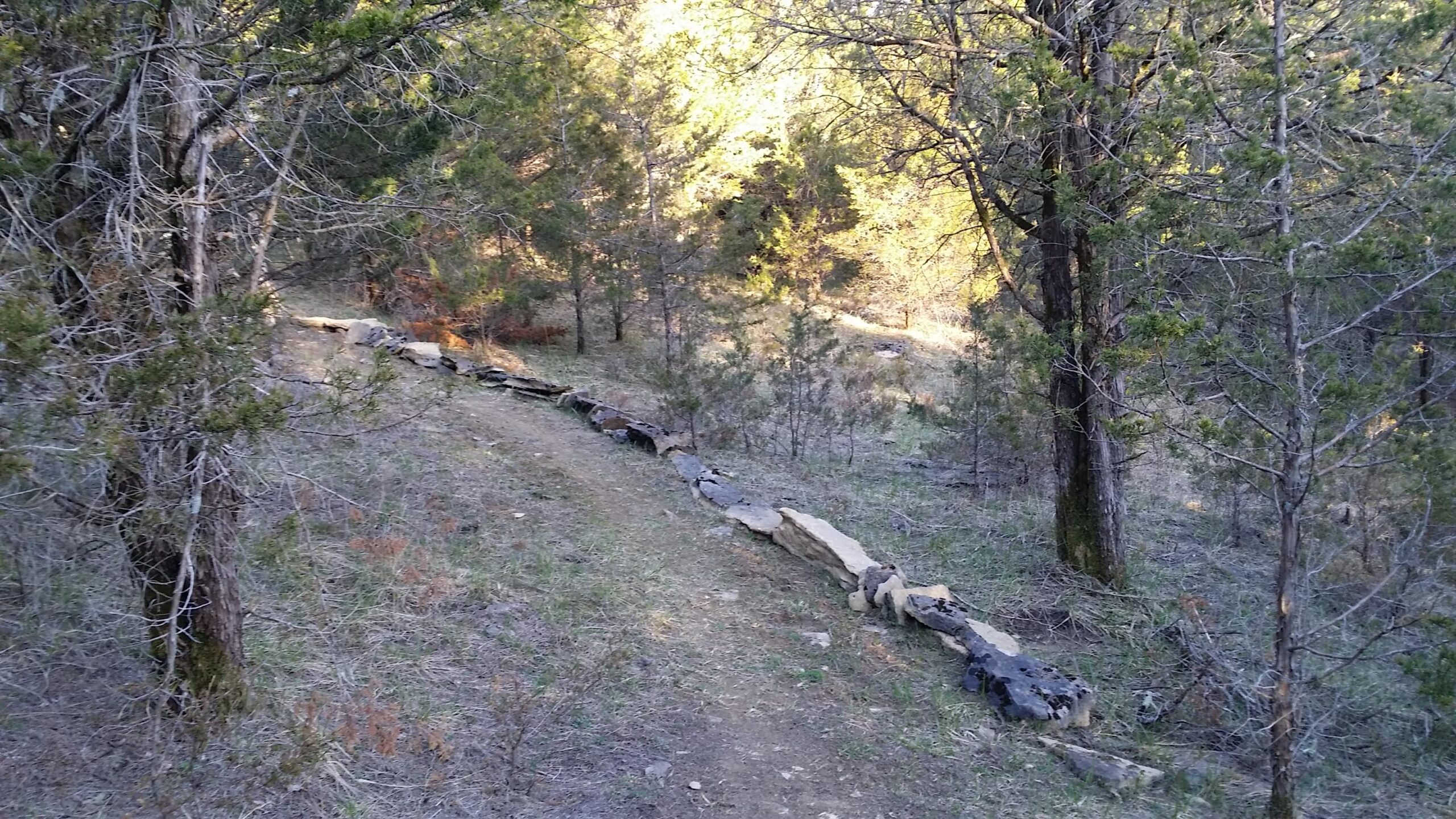 A winding gravel path surrounded by trees and shrubs, with a stone wall running alongside it, in a natural, wooded area. Sunlight filters through the branches, illuminating parts of the ground. Skullbuster mountain bike trail.