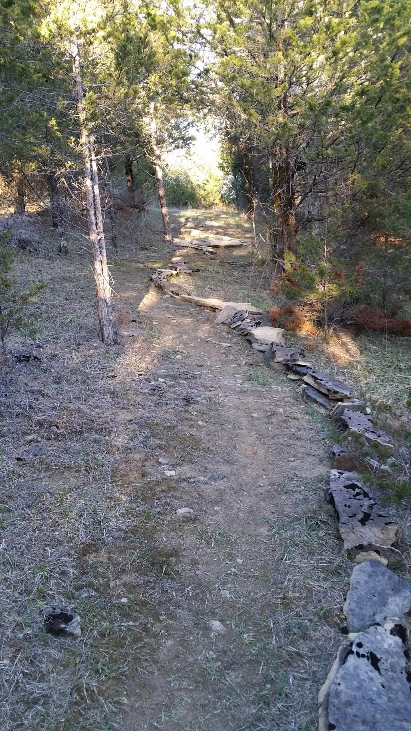 A narrow dirt trail meanders through a wooded area, lined with stones on one side. Sunlight filters through the trees, illuminating parts of the path, which is surrounded by grass and underbrush. Skullbuster mountain bike trail.