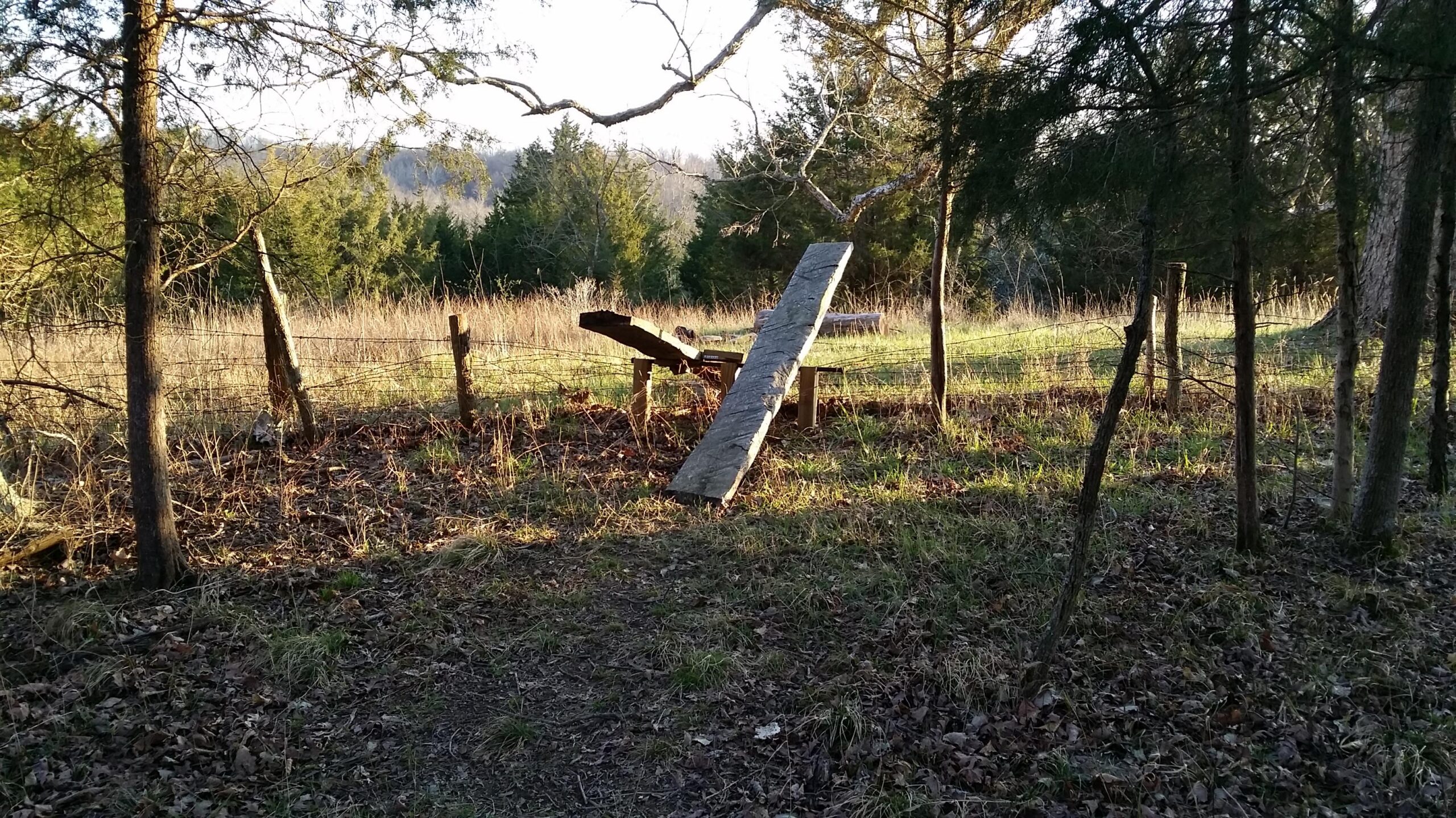 A wooden structure partially supported by trees, surrounded by tall grass and a barbed wire fence, with sunlight filtering through the branches in a rural landscape. Skullbuster mountain bike trail.