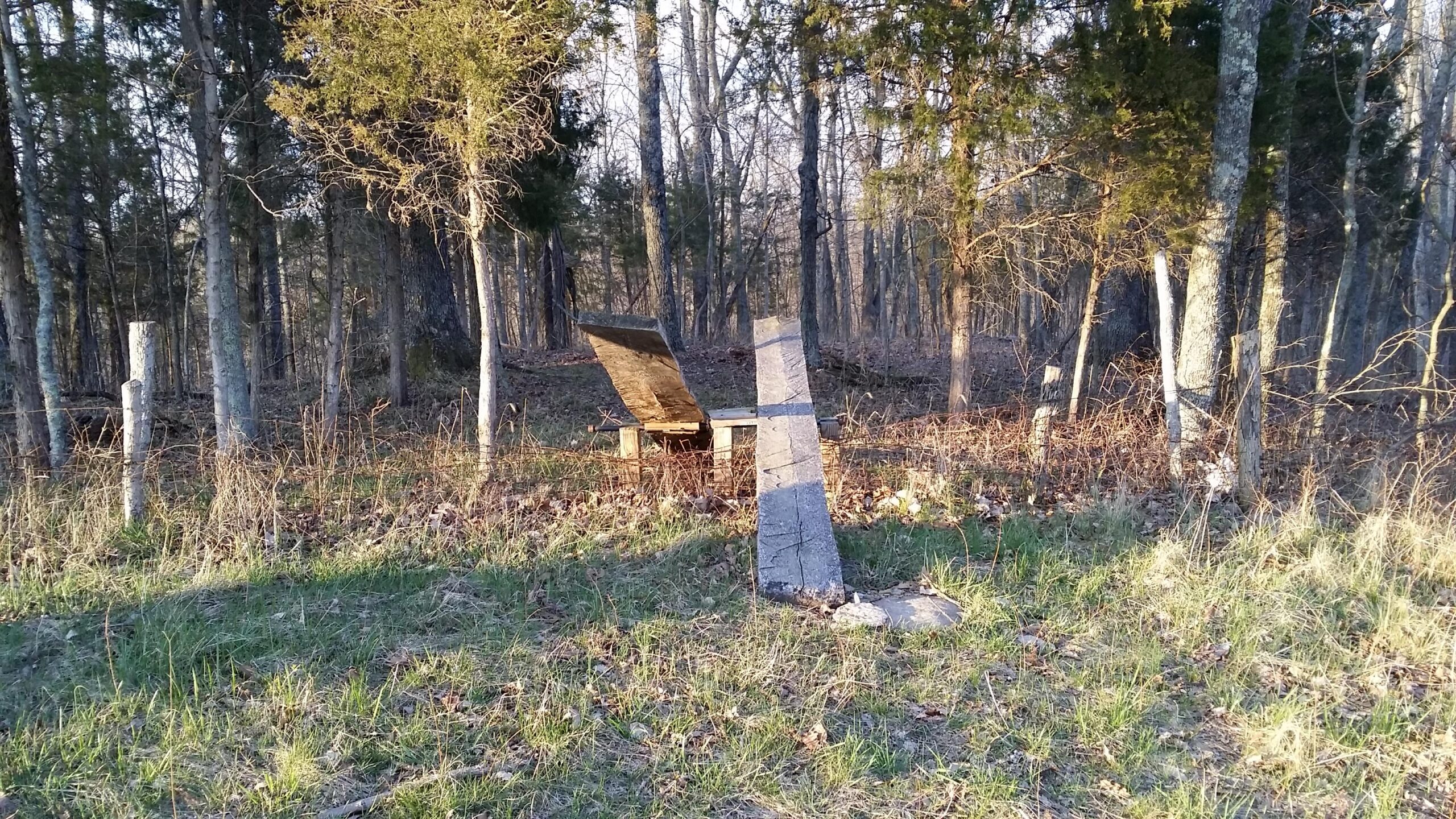 An old, weathered grave marker stands tilted in a forest clearing, surrounded by trees and sparse undergrowth. Next to the gravestone, a wooden bench is partially visible, suggesting a place of reflection. The scene is bathed in soft sunlight, creating a tranquil yet melancholic atmosphere. Skullbuster mountain bike trail.