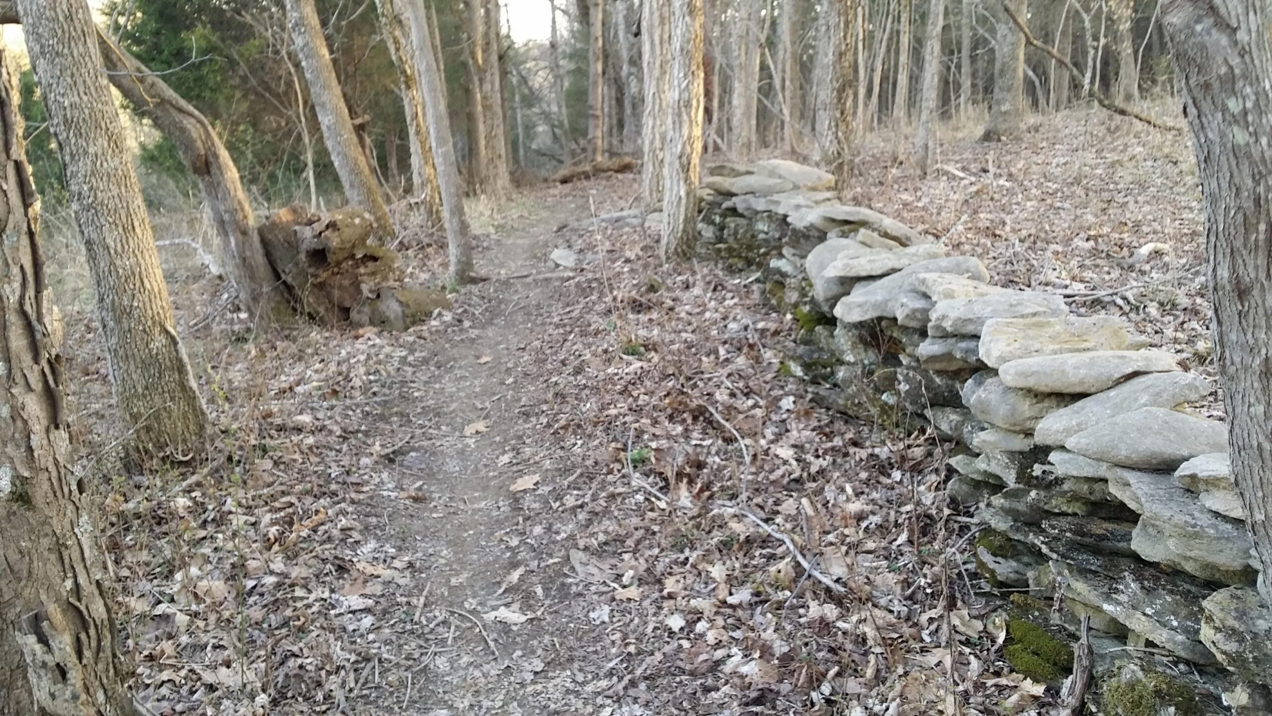A narrow dirt path lined with a stone wall runs through a wooded area. The ground is covered with fallen leaves, and trees are visible on both sides, with the sun casting soft light on the scene. Skullbuster mountain bike trail.