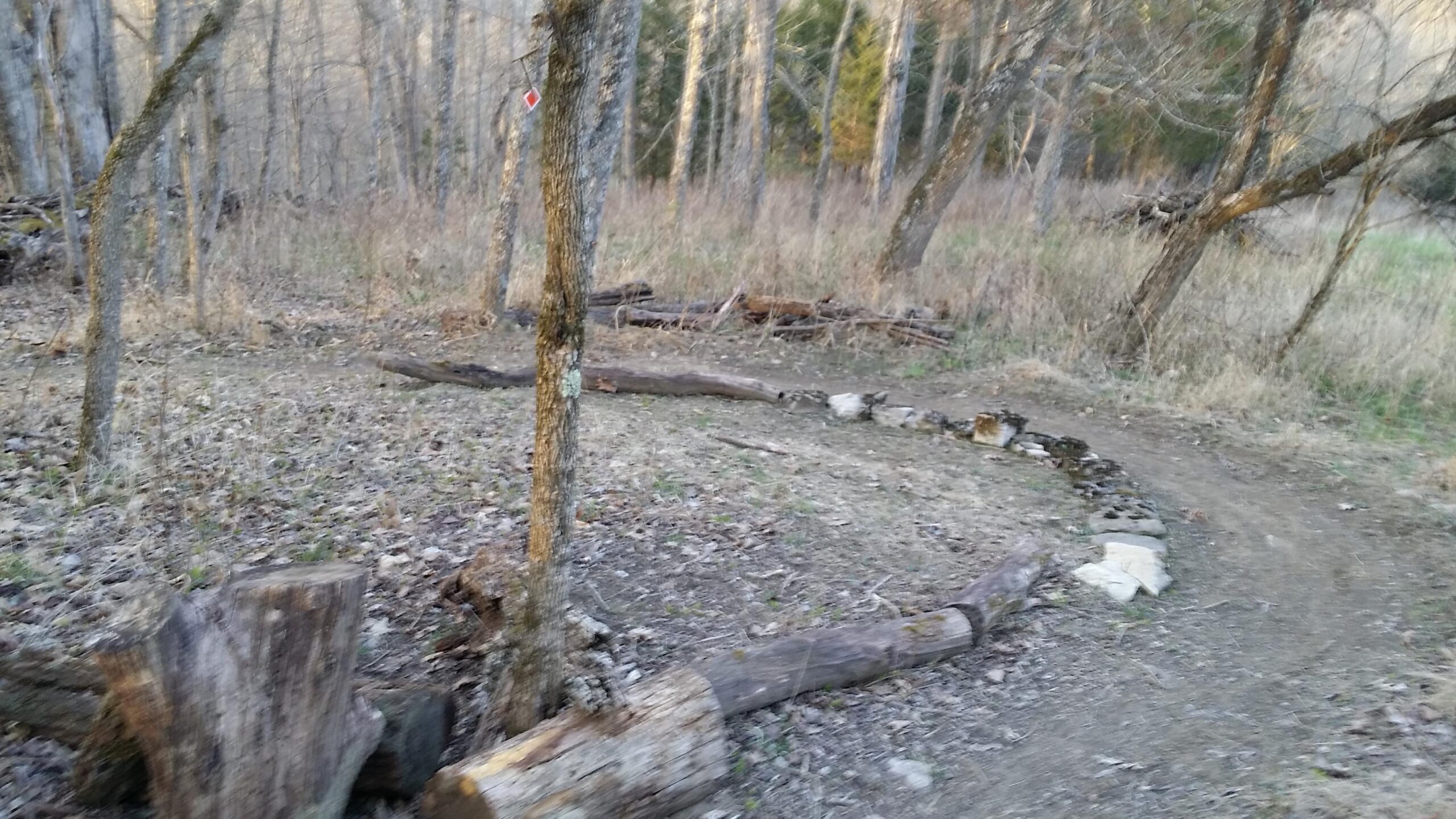 A winding path through a wooded area, featuring scattered logs and stones along the edges. The scene is characterized by leafless trees and patches of grass, creating a natural, serene environment. A red trail marker is visible on a nearby tree, indicating a path in the forest. Skullbuster mountain bike trail.