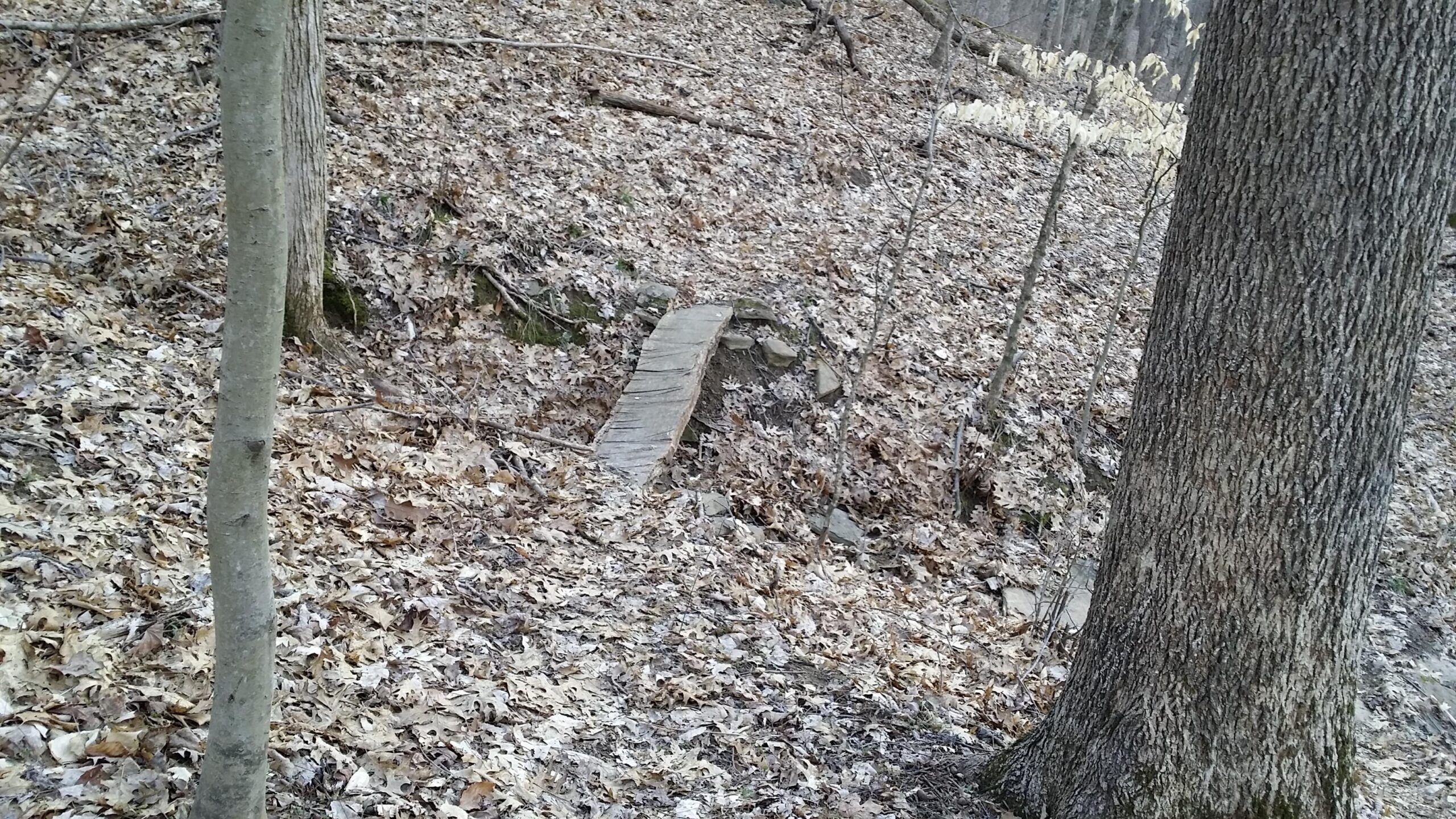 A small wooden footbridge spans a shallow creek in a wooded area, surrounded by fallen leaves and trees. The scene is serene, with earthy tones and a natural, undisturbed landscape. Skullbuster mountain bike trail.