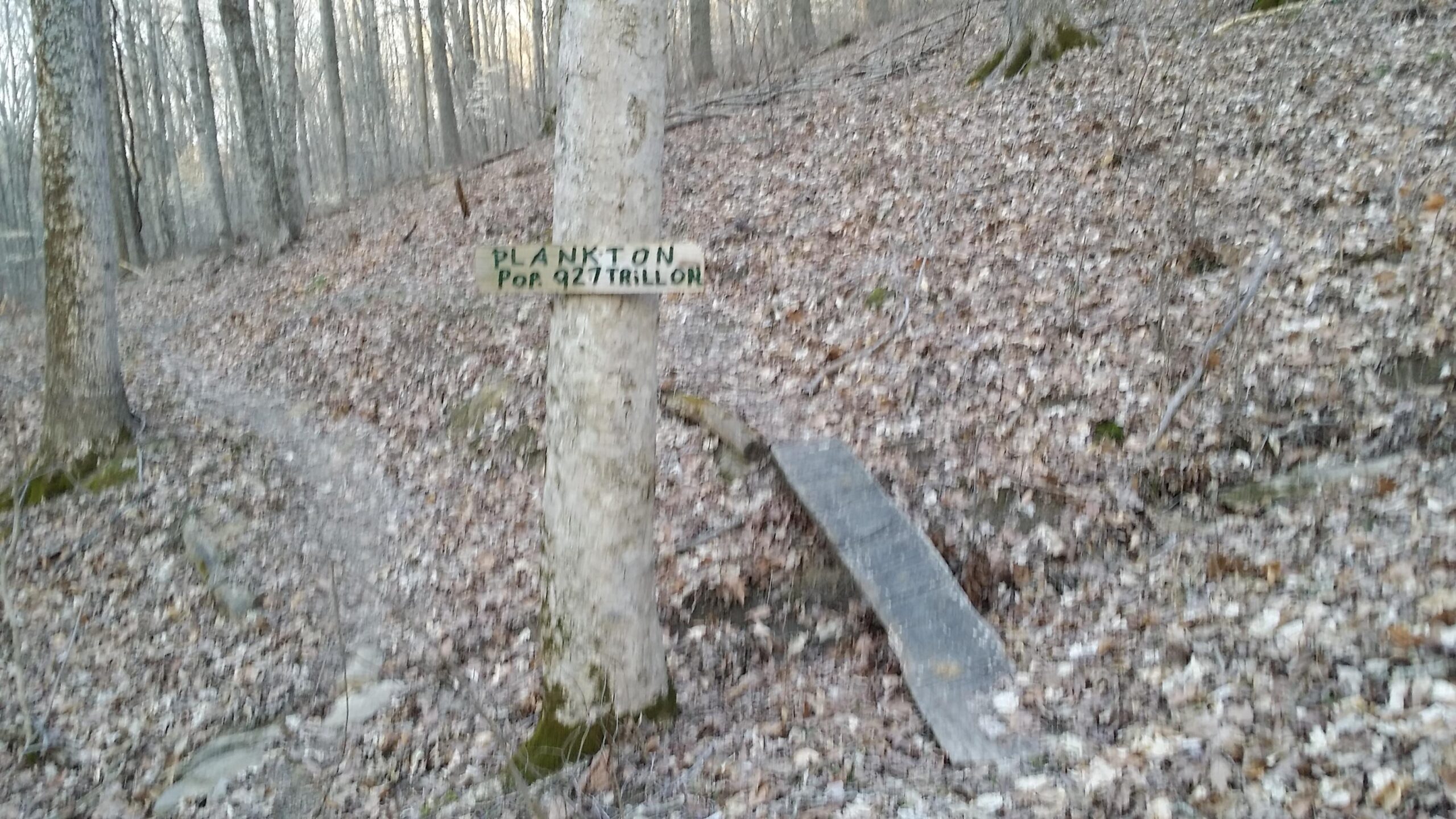 A wooden sign attached to a tree in a wooded area reads "PLANKTON Pop 927 trillion." The ground is covered with fallen leaves, and a wooden board serves as a makeshift pathway. The background features bare trees and a sparse underbrush, indicating a serene and slightly hazy environment. Skullbuster mountain bike trail.