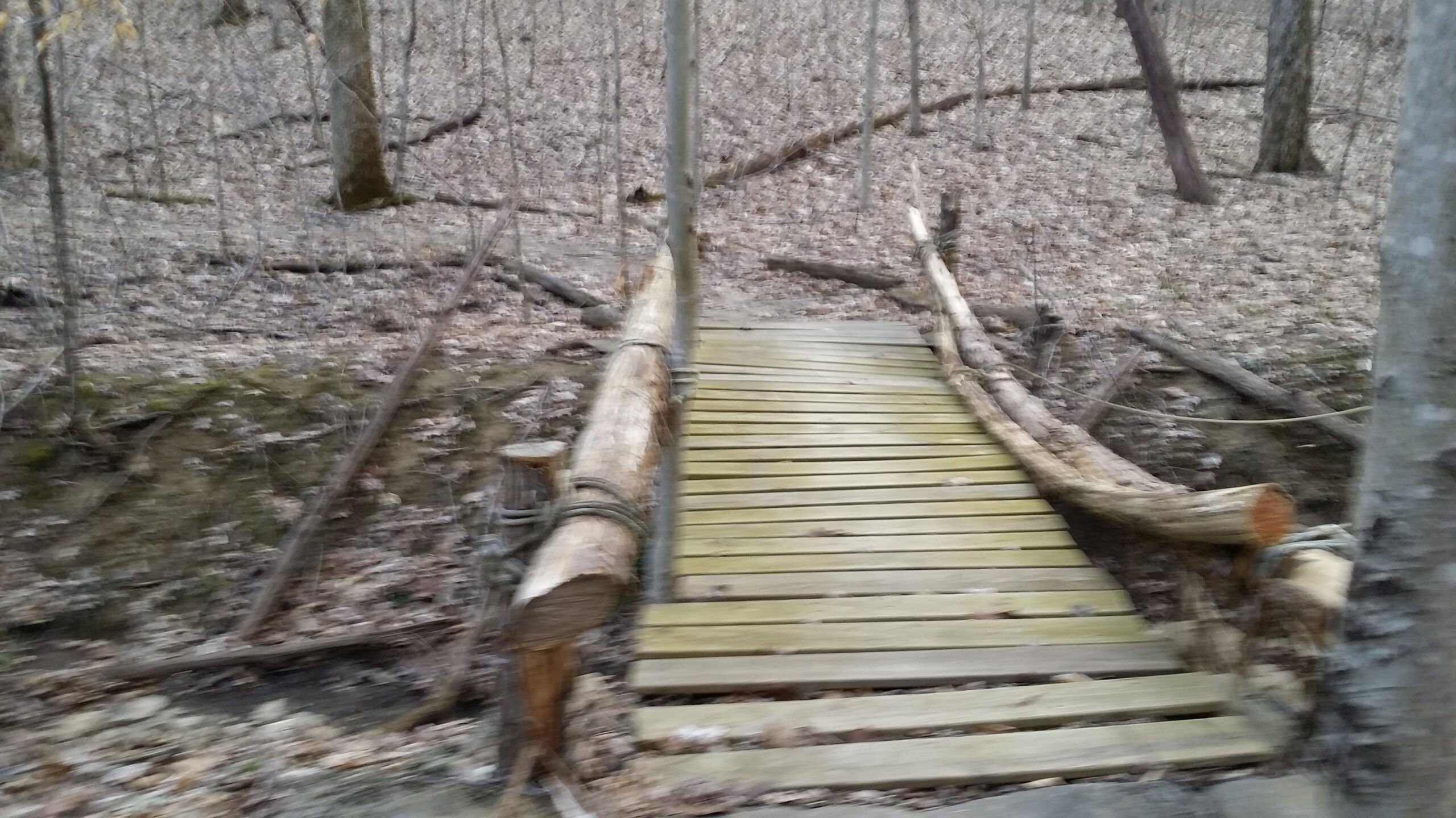 A blurry image of a wooden bridge made of logs, crossing a small gap in a forested area. The surroundings are filled with bare trees and a blanket of dried leaves on the ground, indicating early spring or autumn. Skullbuster mountain bike trail.
