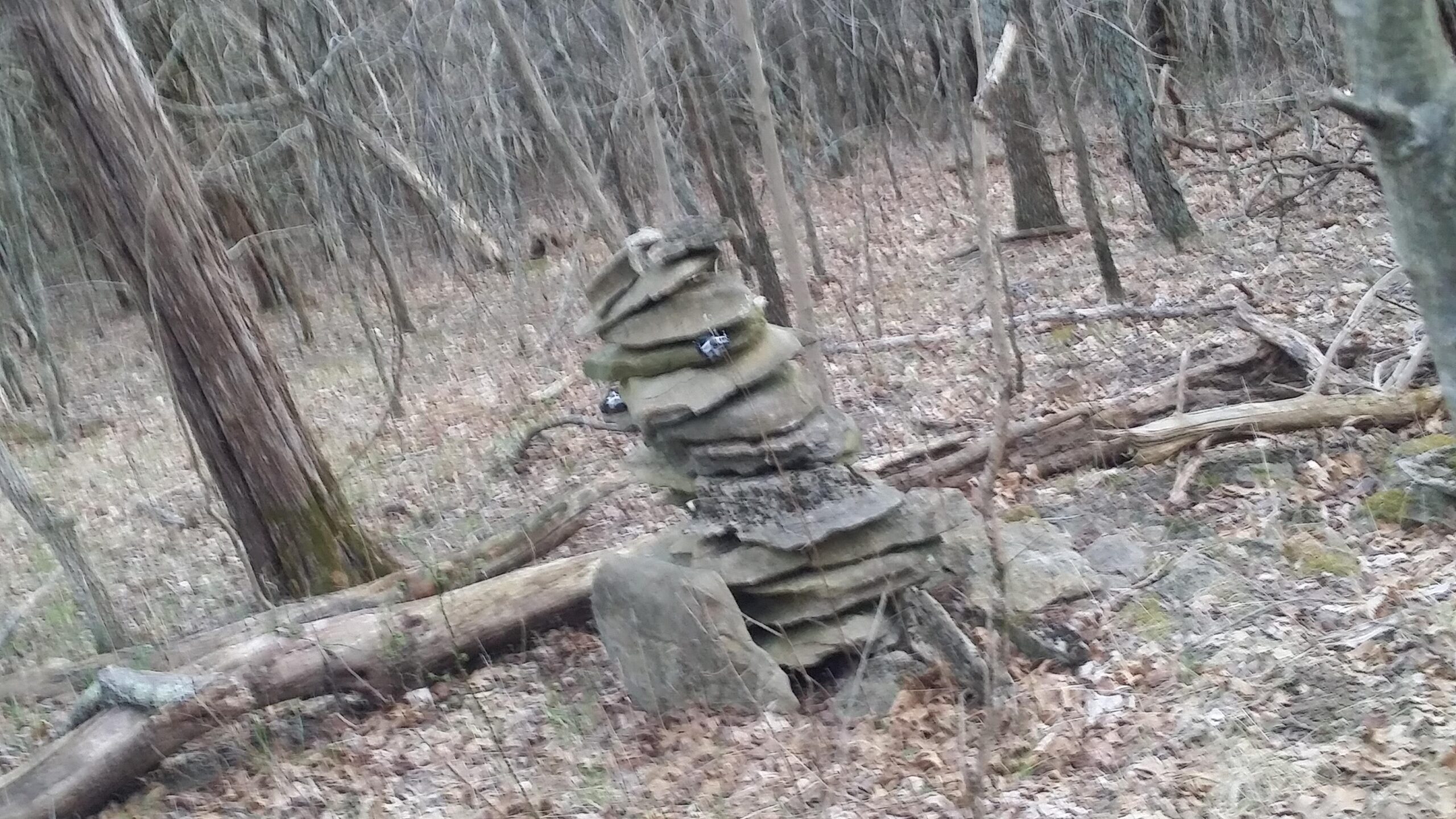 A stack of flat, layered rocks standing in a forested area, surrounded by bare trees and fallen branches, with patches of dry leaves on the ground. The scene has a muted, natural color palette typical of a woodland setting. Skullbuster mountain bike trail.