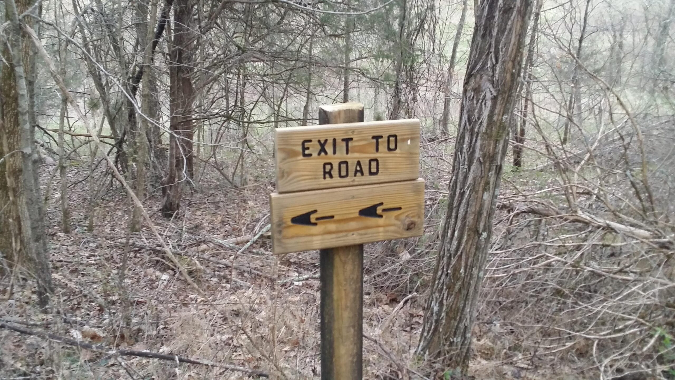 A wooden sign in a wooded area with the text "EXIT TO ROAD" and arrows pointing left and right, surrounded by trees and underbrush. Skullbuster mountain bike trail.