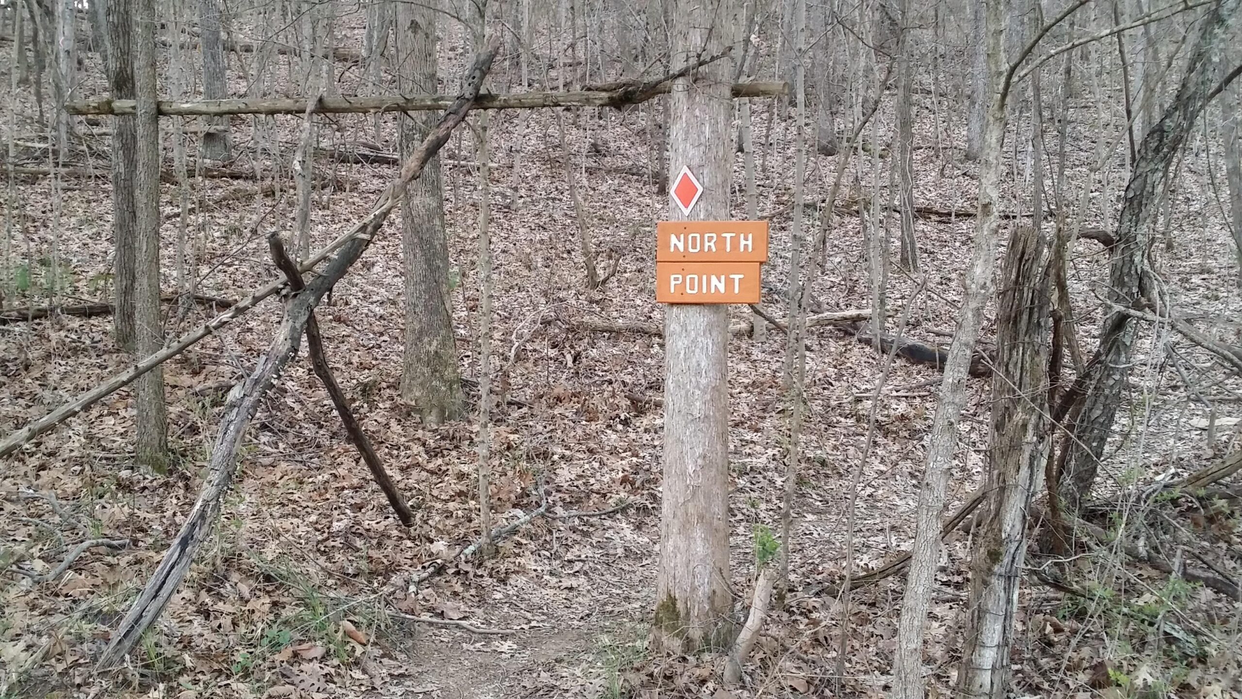 A wooden sign reading "North Point" attached to a tree, located in a wooded area with fallen leaves and sparse undergrowth. The surrounding trees are bare, indicating early spring or late fall. A faint trail is visible leading away from the sign. Skullbuster mountain bike trail.