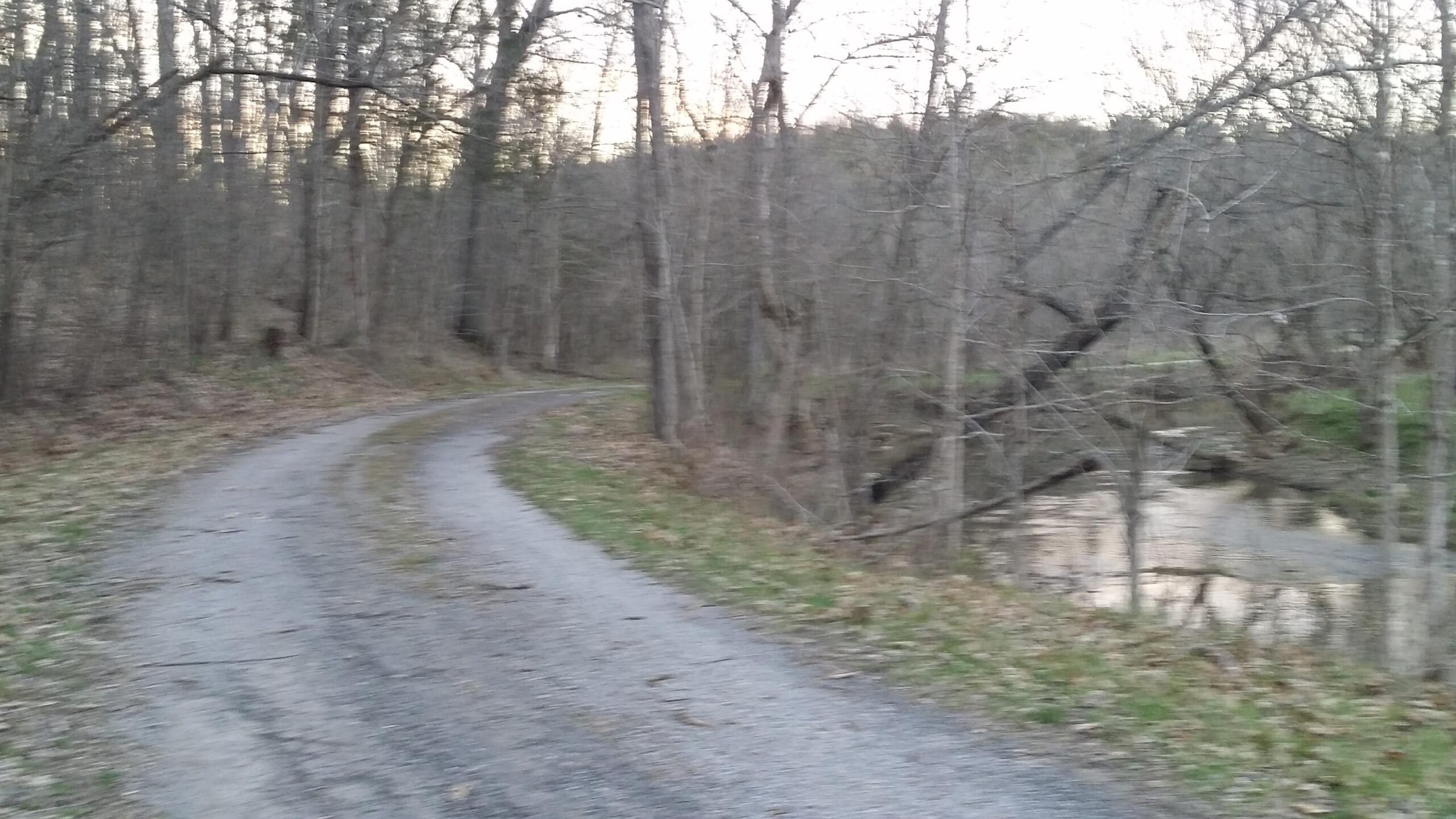 A winding gravel path through a forest with bare trees, leading toward a creek on the right side. The scene is set in the early evening, with soft light filtering through the branches. Skullbuster mountain bike trail.