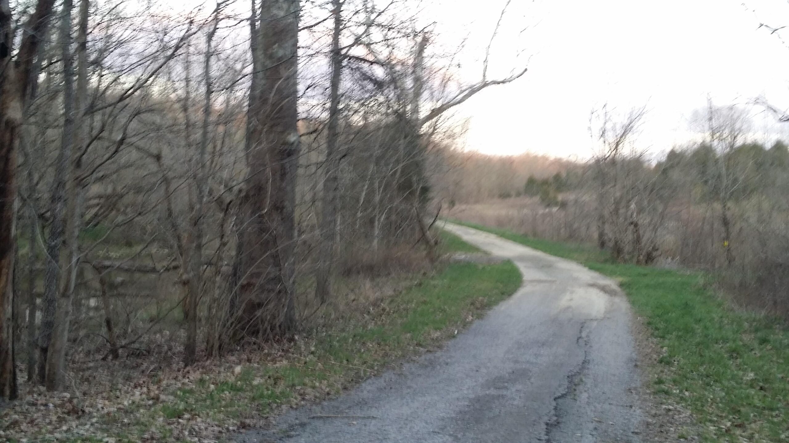 A winding gravel path surrounded by bare trees, leading into a serene landscape with soft grass on the sides. The scene captures a tranquil moment in nature, with a gentle curve in the road that disappears into the distance under a fading light. Skullbuster mountain bike trail.