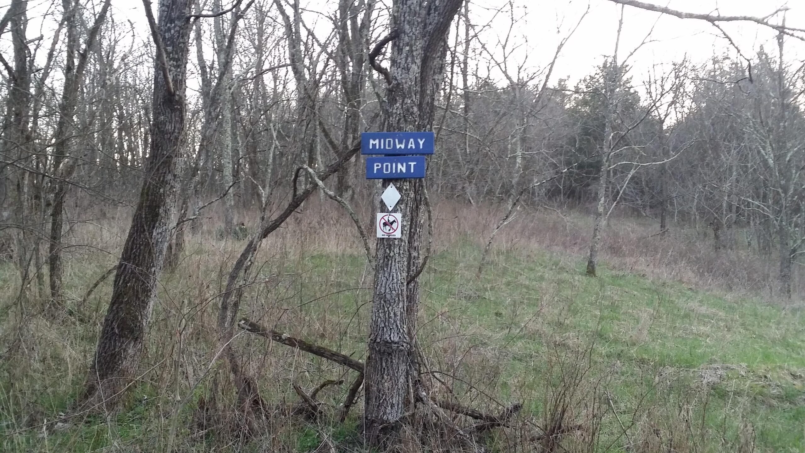 Signpost indicating "Midway Point" in a wooded area, with a no trespassing sign below it. Surrounding landscape features bare trees and tall grass. Skullbuster mountain bike trail.