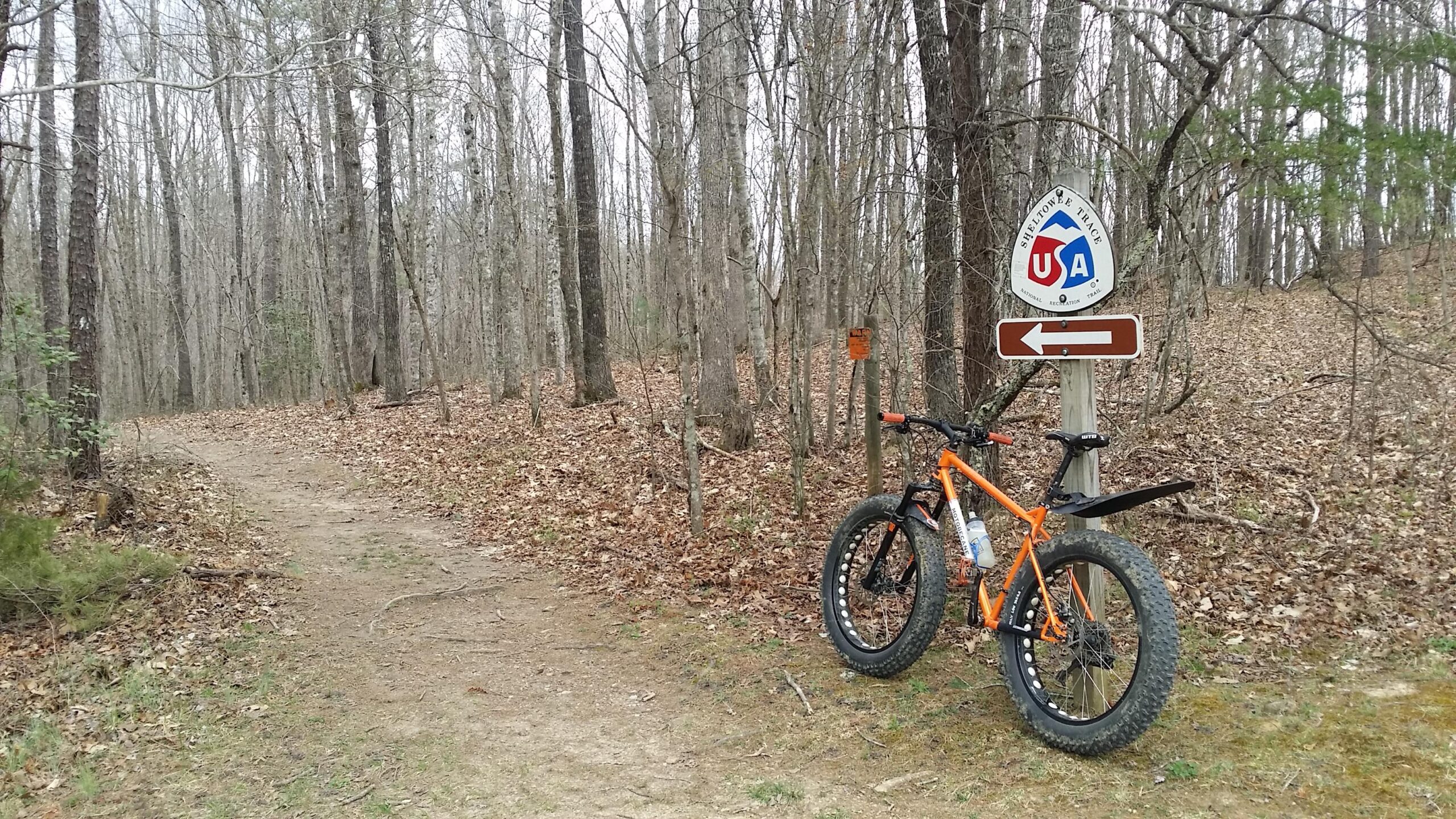 A mountain bike with an orange frame is leaning against a trail sign at the edge of a wooded area. The sign indicates a trail direction to the left and displays a logo associated with outdoor activities. The ground is covered in fallen leaves, and bare trees stretch into the background, creating a serene atmosphere typical of an early spring day. Sheltowee Trace - Laurel Lake Trail mountain bike trail.