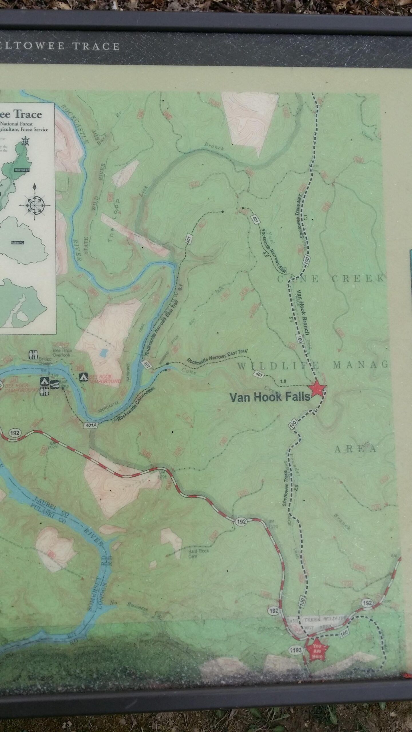 Map of the Saltowee Trace area, featuring topographic details, marked trails, and notable locations including Van Hook Falls. The map includes a small inset for orientation and highlights amenities such as camping areas and roads, with a "You Are Here" marker for navigation. Sheltowee Trace - Laurel Lake Trail mountain bike trail.