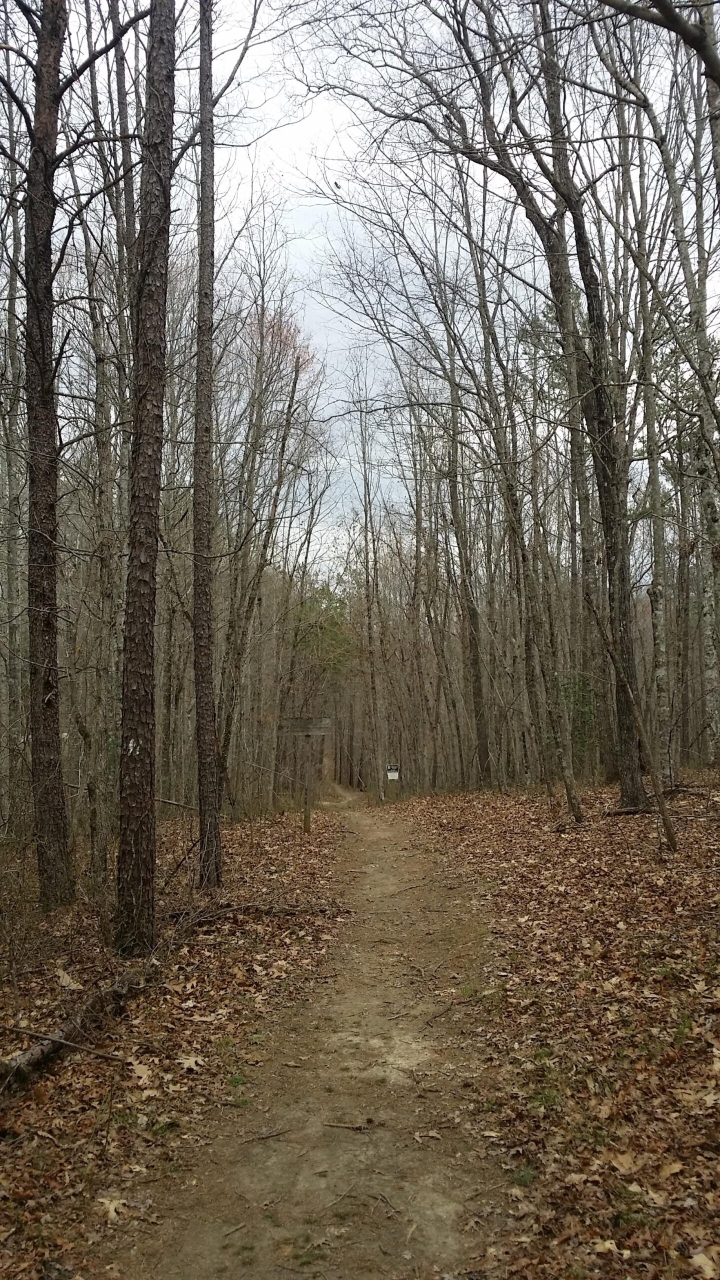A dirt path winding through a forest with bare trees on either side, covered with fallen leaves. The sky is overcast, and there are signs along the trail indicating direction or information. Sheltowee Trace - Laurel Lake Trail mountain bike trail.
