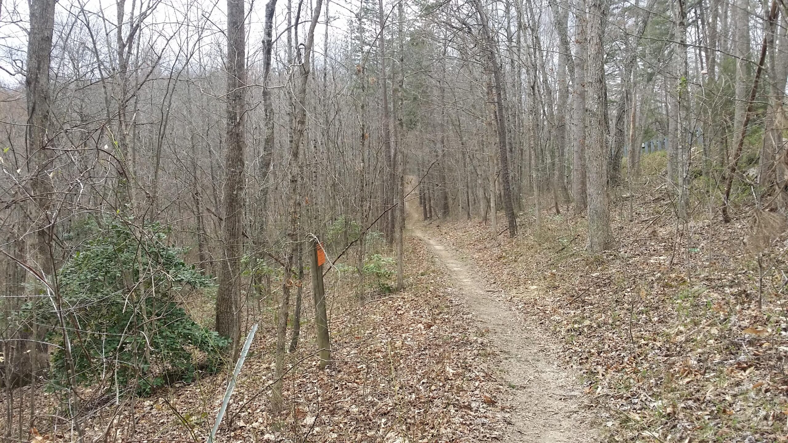 A narrow dirt trail winding through a dense, leafless forest with tall trees and scattered fallen leaves. An orange marker is visible on a post along the path, indicating the route through the natural landscape. The scene conveys a calm, peaceful atmosphere typical of a late autumn day. Sheltowee Trace - Laurel Lake Trail mountain bike trail.