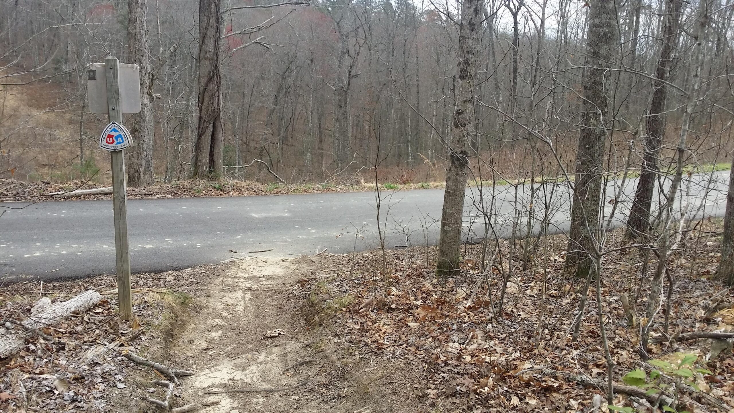 A dirt trail leading from a signpost indicating a hiking route to a paved road, surrounded by bare trees and fallen leaves. The scene conveys a peaceful, wooded area, typical of outdoor recreational spaces. Sheltowee Trace - Laurel Lake Trail mountain bike trail.