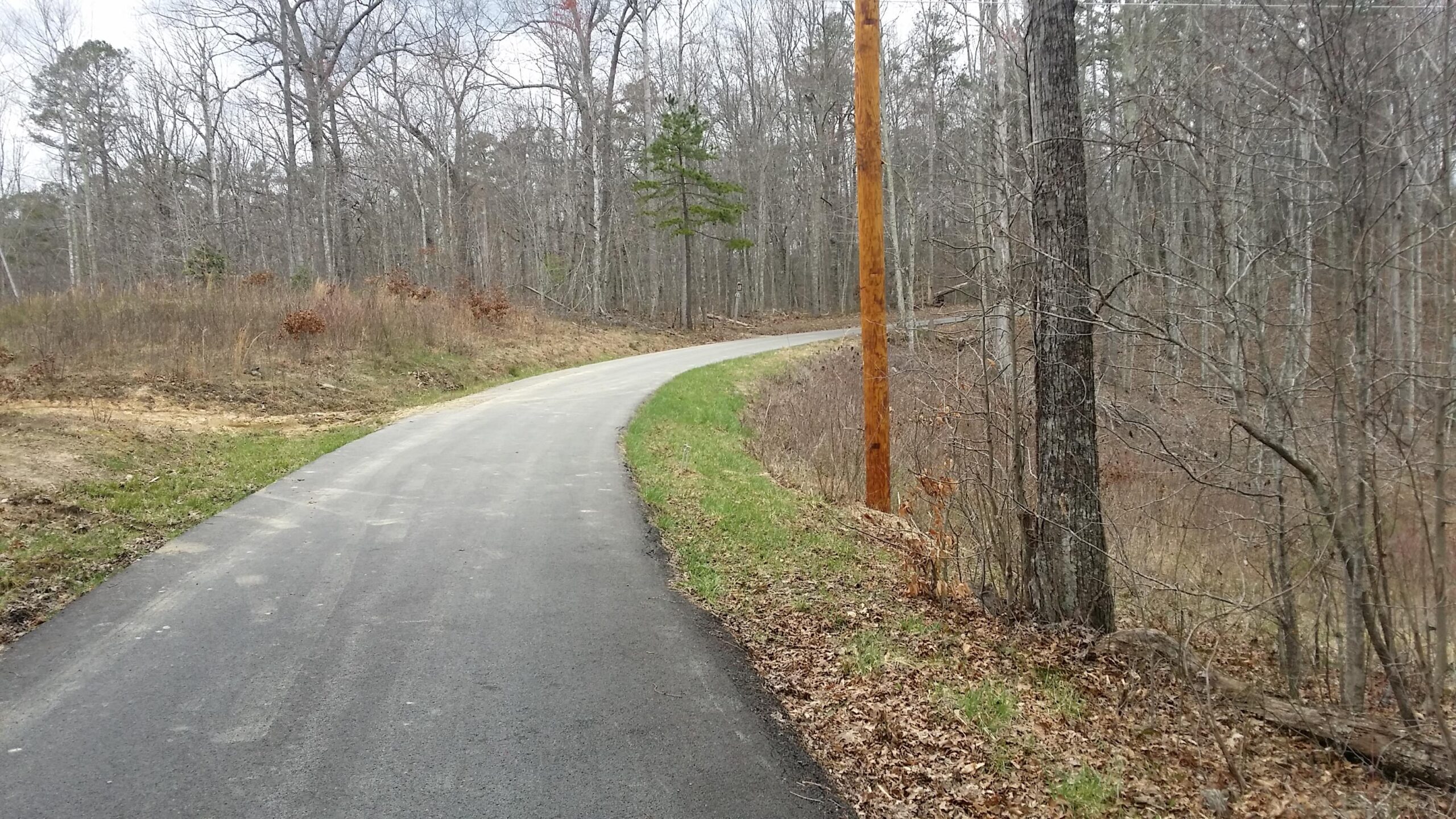 A winding asphalt road curving through a forested area with bare trees and sparse underbrush. A wooden utility pole is visible on the right side, accentuating the natural landscape. The scene has a tranquil, rural feel, indicating a quiet, less-traveled path. Sheltowee Trace - Laurel Lake Trail mountain bike trail.