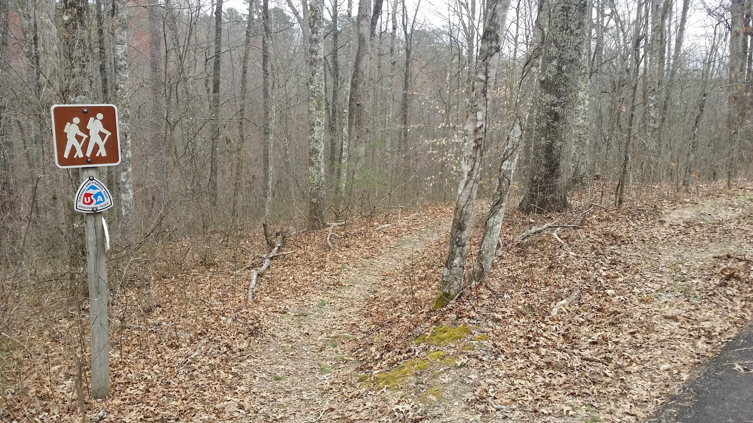 Hiking trail sign near a wooded area, indicating a path for hikers. Surrounding trees are bare, with fallen leaves covering the ground. A trail marked by a slight worn path leads into the forest. Sheltowee Trace - Laurel Lake Trail mountain bike trail.