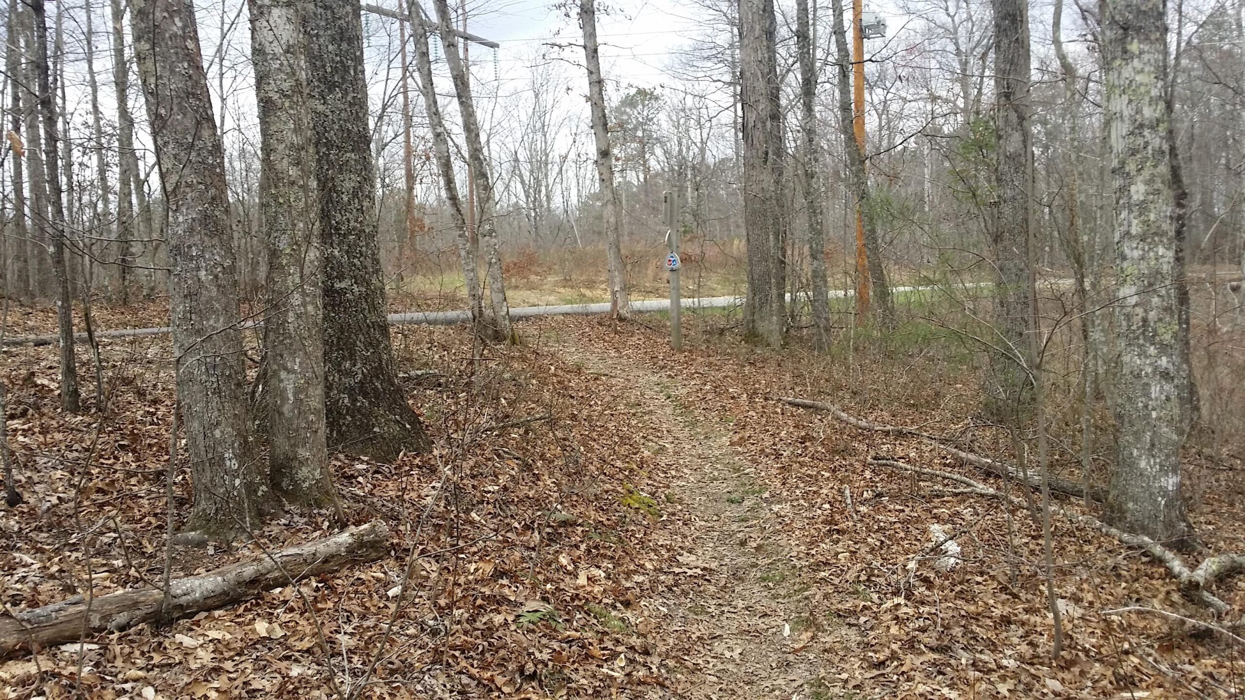 A narrow dirt path surrounded by bare trees leads toward a road in a wooded area. The ground is covered with dry leaves, and a signpost is visible along the path, suggesting that this is a trail. The scene conveys a tranquil, natural setting with an overcast sky. Sheltowee Trace - Laurel Lake Trail mountain bike trail.