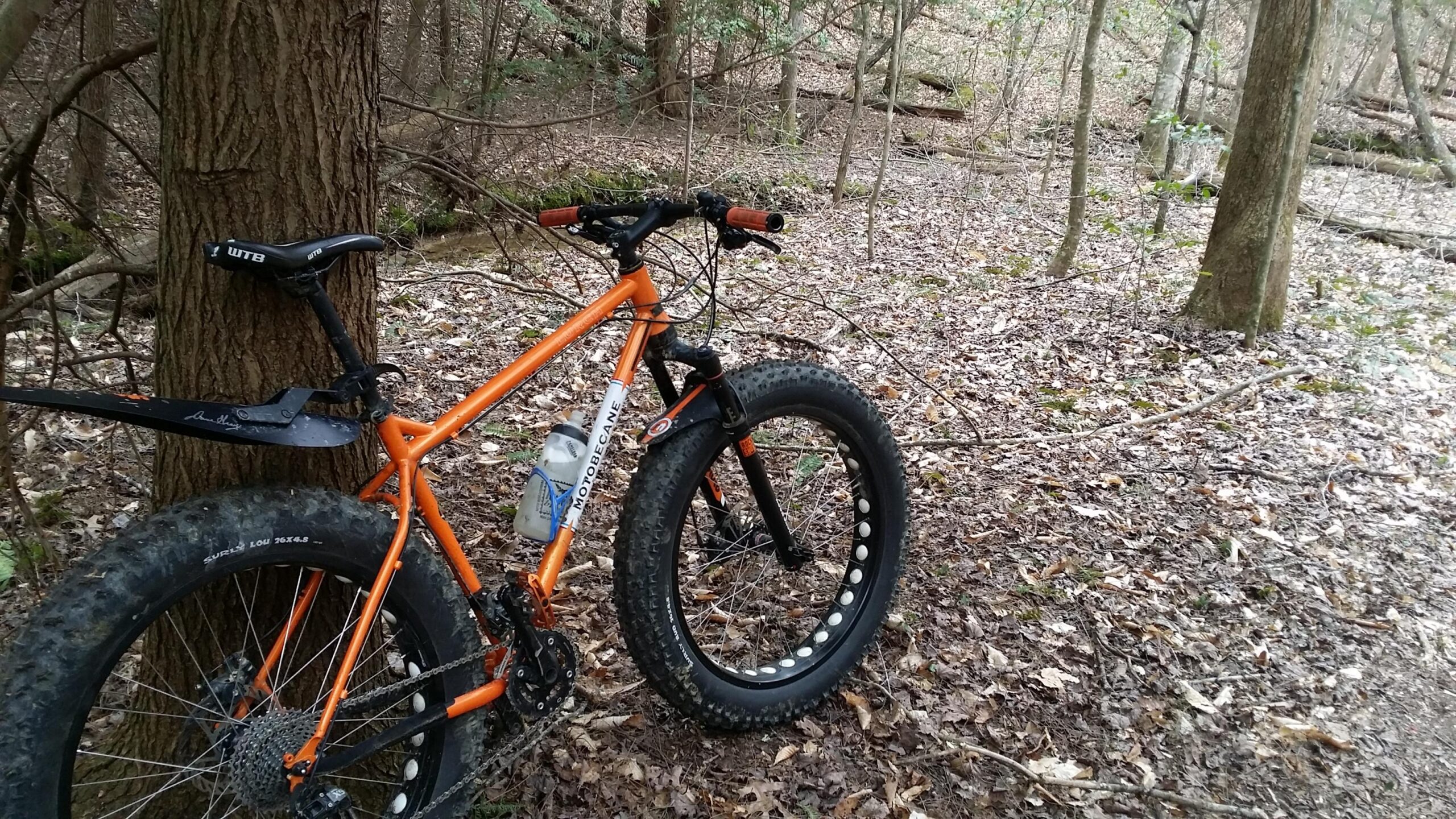 A fat tire mountain bike with an orange frame is leaning against a tree in a wooded area. The ground is covered with fallen leaves, and there are trees and underbrush in the background, suggesting a natural outdoor setting. A water bottle is attached to the bike frame. Sheltowee Trace - Laurel Lake Trail mountain bike trail.