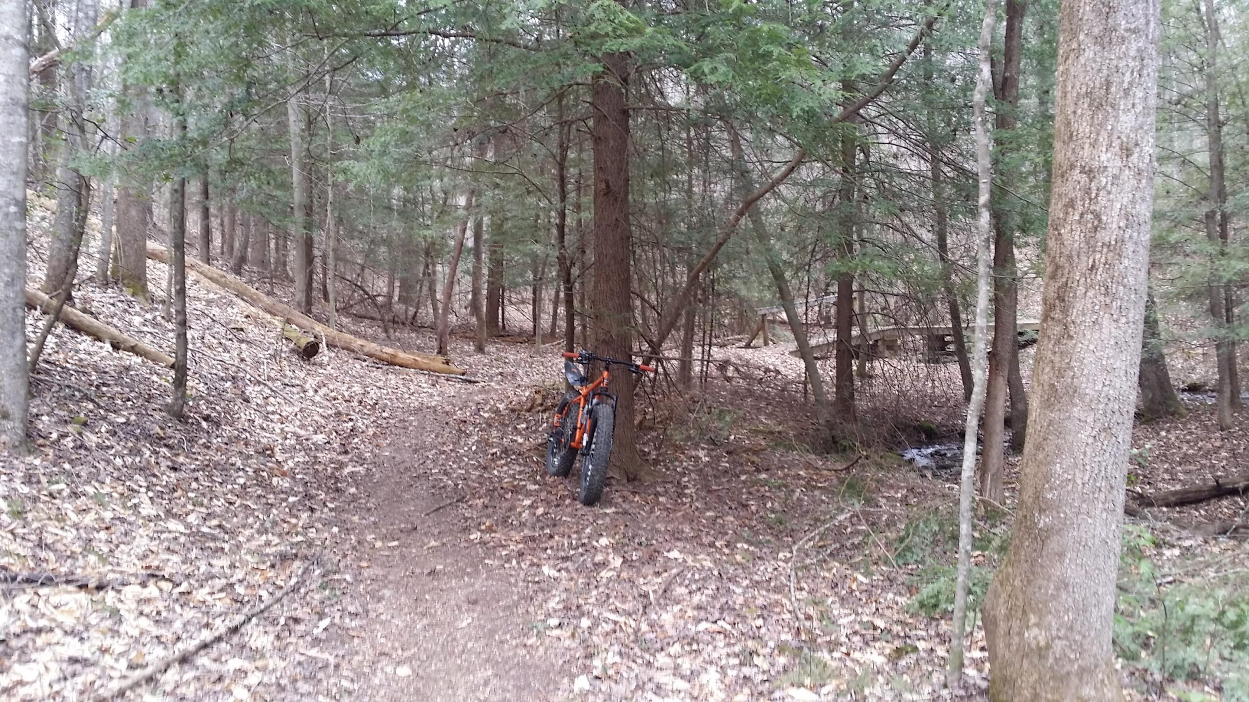 A mountain bike with orange accents resting against a tree on a dirt trail in a wooded area, surrounded by trees and scattered leaves on the ground. A small stream can be seen in the background. Sheltowee Trace - Laurel Lake Trail mountain bike trail.