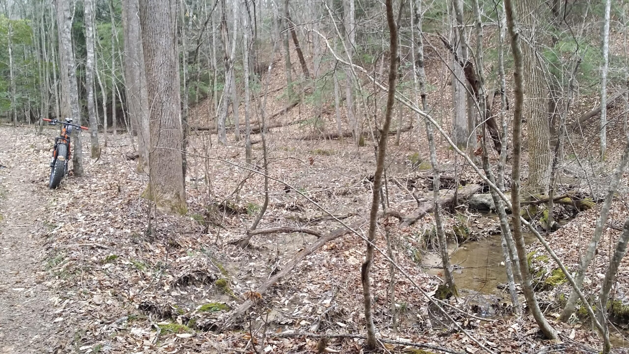 A mountain bike leaned against a tree along a dirt trail in a wooded area, with bare trees and scattered leaves on the ground. A small stream can be seen in the background, contributing to the natural scenery. Sheltowee Trace - Laurel Lake Trail mountain bike trail.