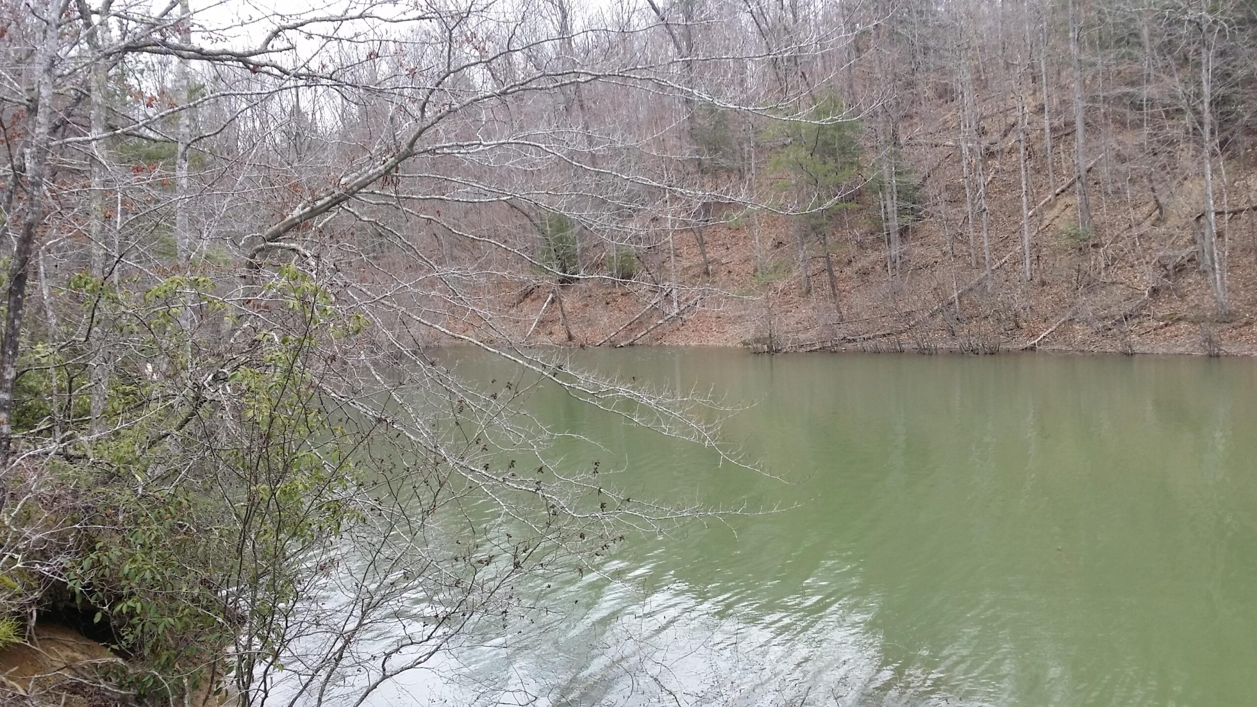 A tranquil scene of a calm lake surrounded by bare trees and steep, earthy terrain. The water reflects shades of green and gray under an overcast sky, while branches and some greenery frame the foreground. Sheltowee Trace - Laurel Lake Trail mountain bike trail.