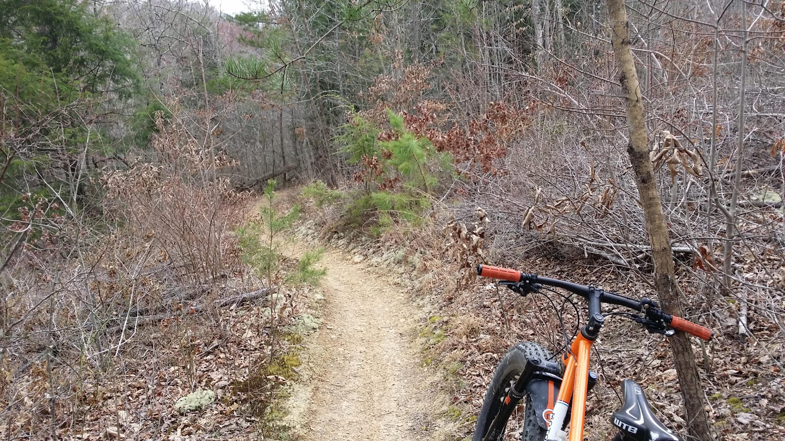 A mountain bike is leaning against a tree on a narrow dirt trail winding through a forest. The surrounding area features bare trees and shrubs with dried leaves, indicating early spring or late fall. The trail curves ahead into the woods, inviting exploration. Sheltowee Trace - Laurel Lake Trail mountain bike trail.
