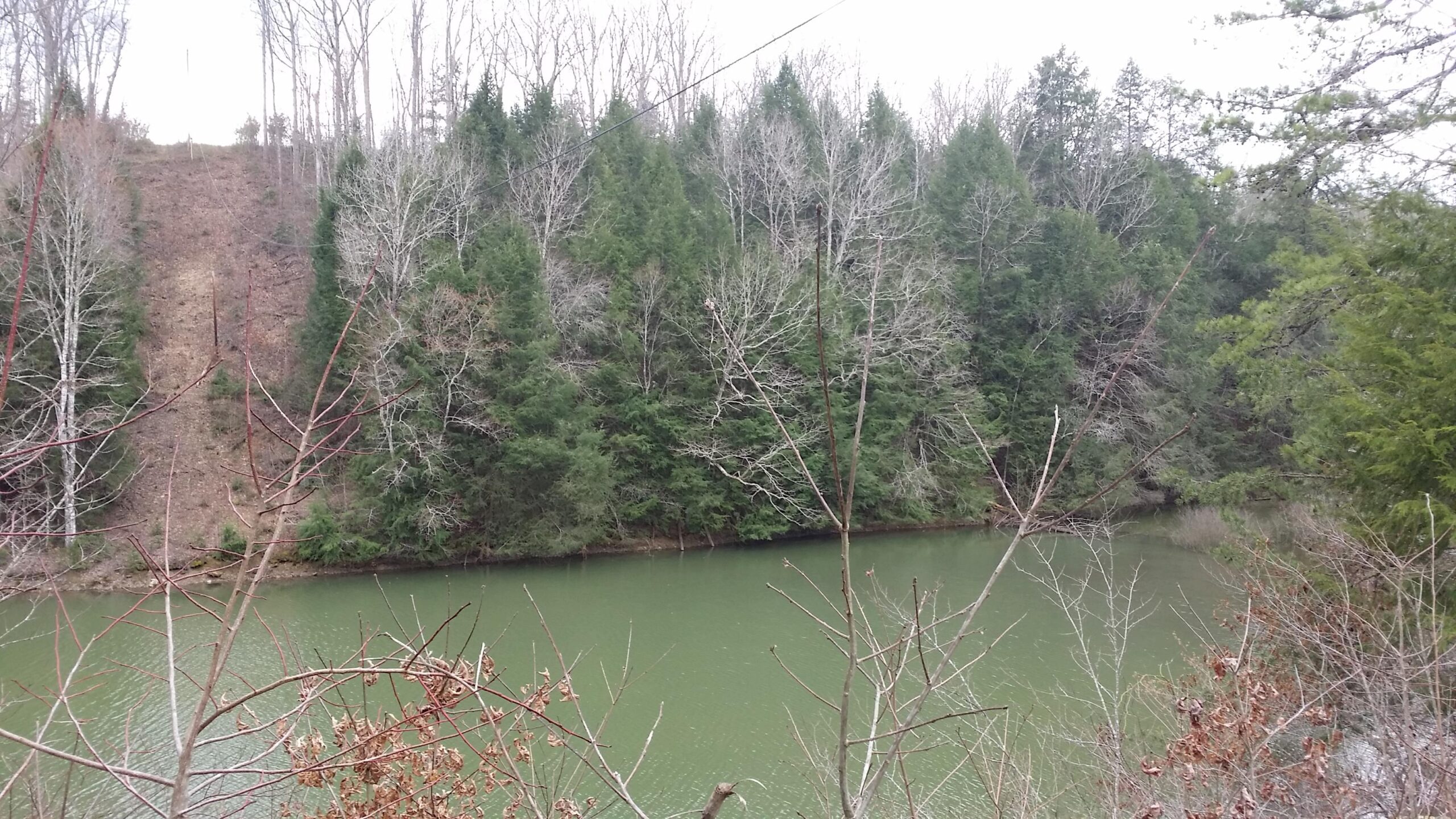 A serene landscape featuring a calm, greenish river surrounded by dense trees. In the background, a hill slopes upward, with leafless trees scattered along the hillside. The scene conveys a tranquil natural setting, with a mix of evergreen and deciduous trees. Sheltowee Trace - Laurel Lake Trail mountain bike trail.