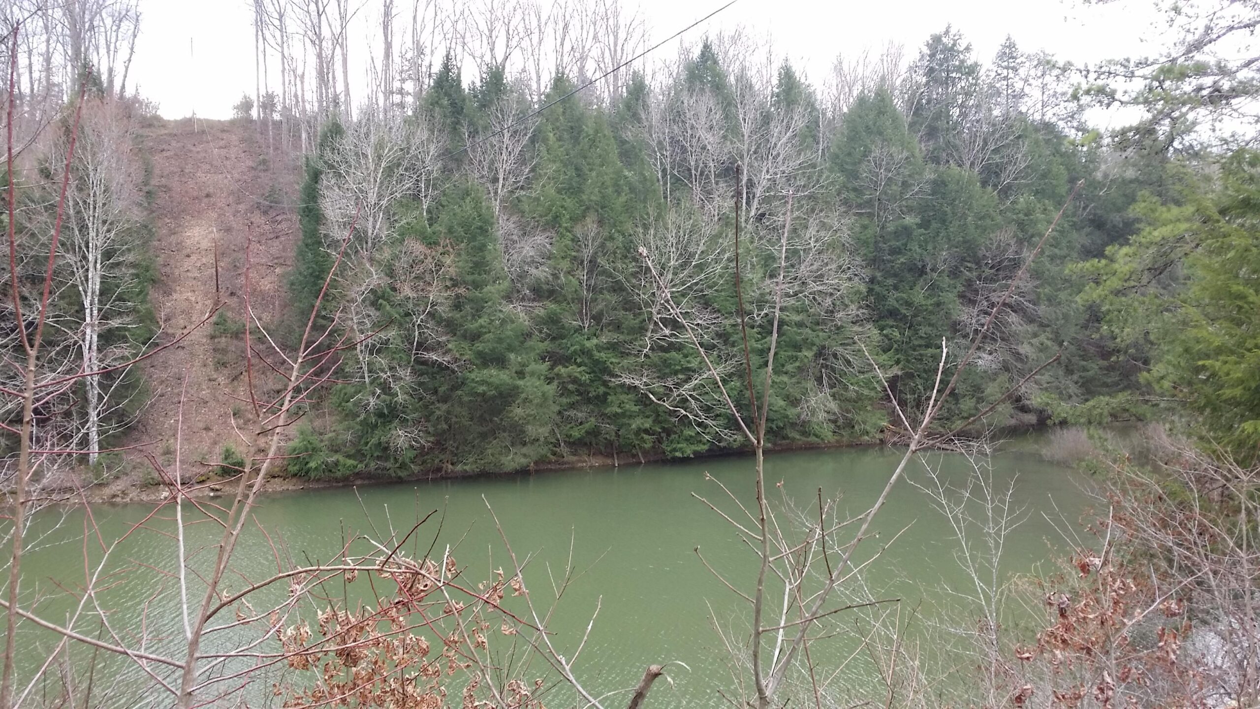 A tranquil scene featuring a still greenish lake surrounded by a variety of trees. In the background, a gently sloped hillside with sparse vegetation is visible. The foreground includes bare branches and shrubs, indicating a natural setting in a wooded area. The atmosphere is calm and serene, with overcast skies enhancing the peacefulness of the landscape. Sheltowee Trace - Laurel Lake Trail mountain bike trail.