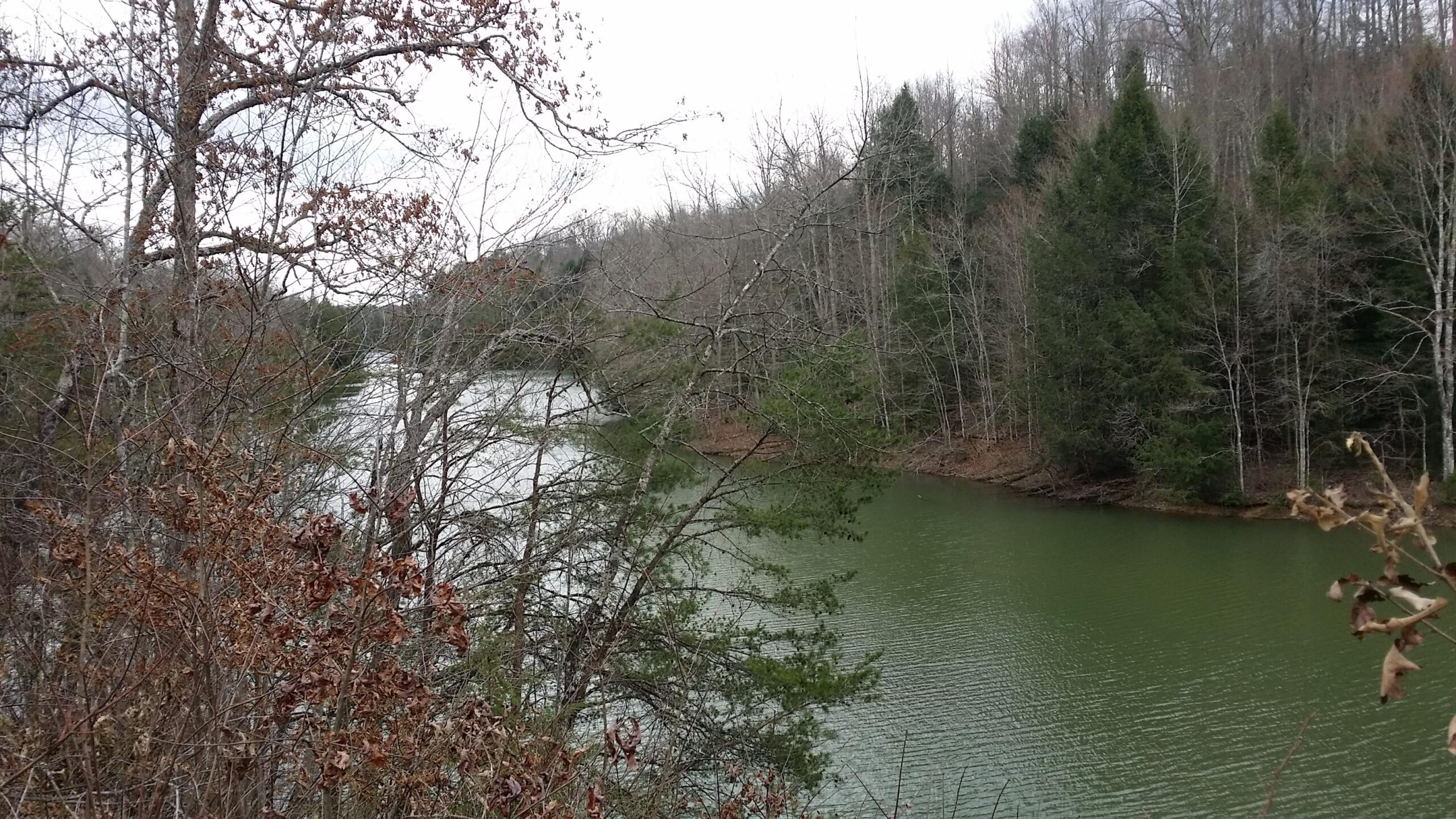 A serene view of a river winding through a wooded landscape, with bare trees and a few evergreen trees lining the banks. The water is a muted green color, reflecting the overcast sky above. Brownish leaves cling to some branches, indicating the late autumn season. Sheltowee Trace - Laurel Lake Trail mountain bike trail.