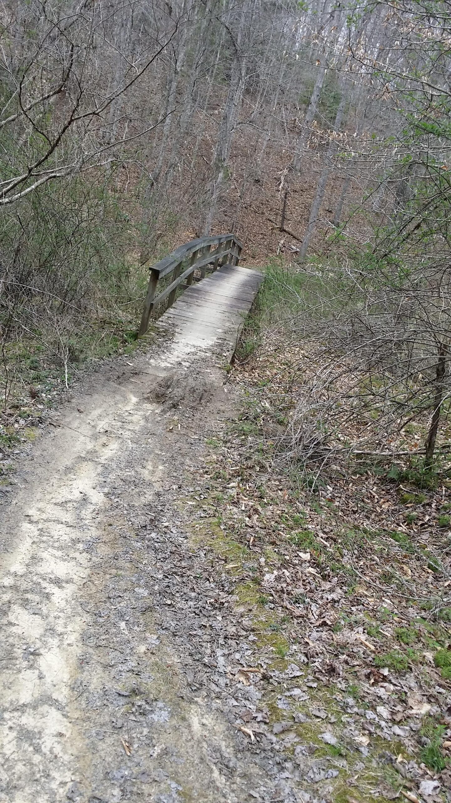 A narrow dirt path winds through a wooded area, leading to a small wooden bridge. The ground is partially covered with fallen leaves and mud, indicating recent rainfall. Surrounding trees are bare, suggesting it is late fall or early spring. Sheltowee Trace - Laurel Lake Trail mountain bike trail.