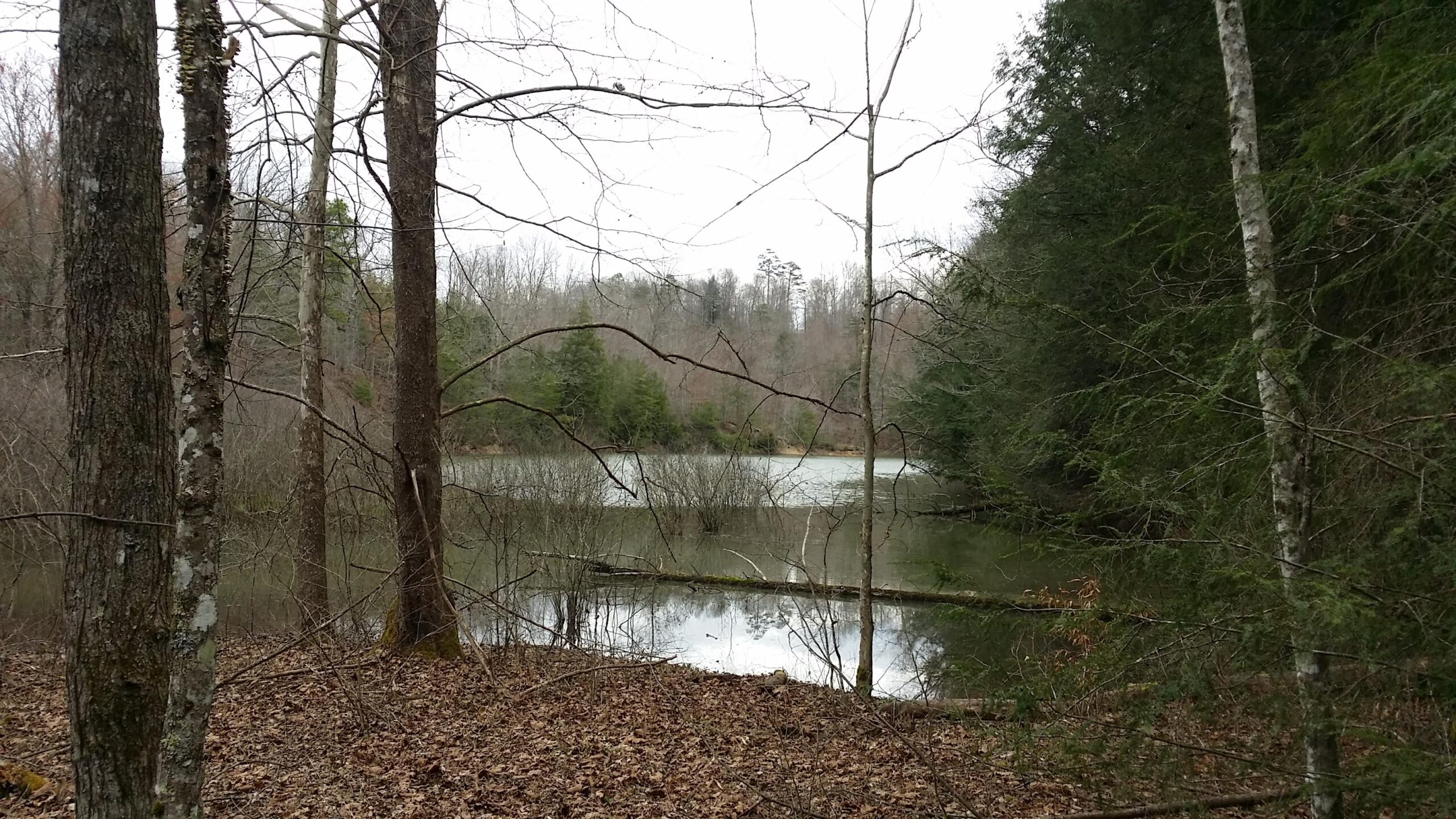 A serene landscape featuring a calm lake surrounded by bare trees and shrubs. The scene is set in a wooded area, with fallen leaves covering the ground. Overcast skies create a muted atmosphere. Sheltowee Trace - Laurel Lake Trail mountain bike trail.