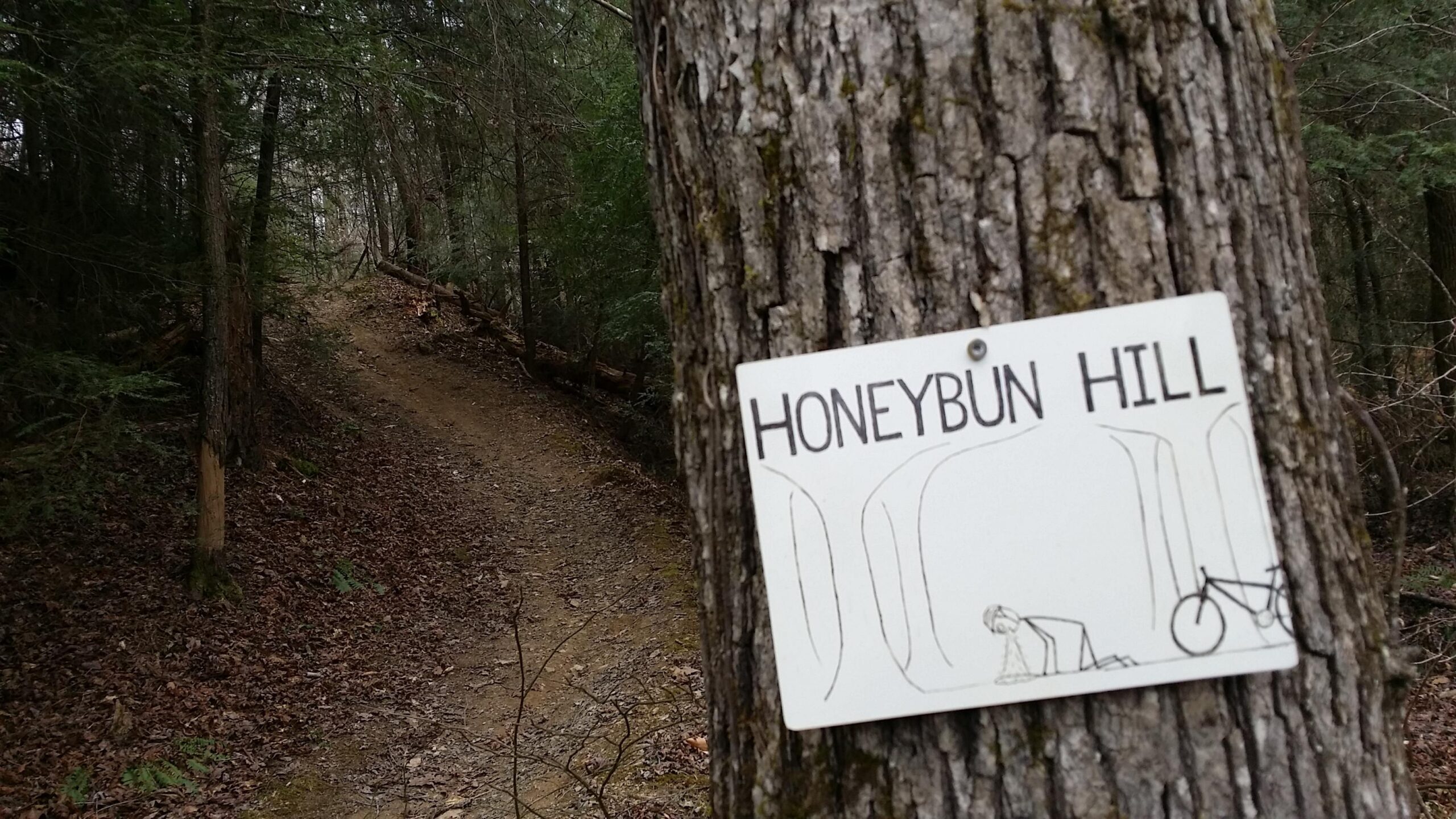 Sign for "Honeybun Hill" attached to a tree, with a drawing of a person crawling and a bicycle illustration. A forested trail can be seen in the background. Sheltowee Trace - Laurel Lake Trail mountain bike trail.