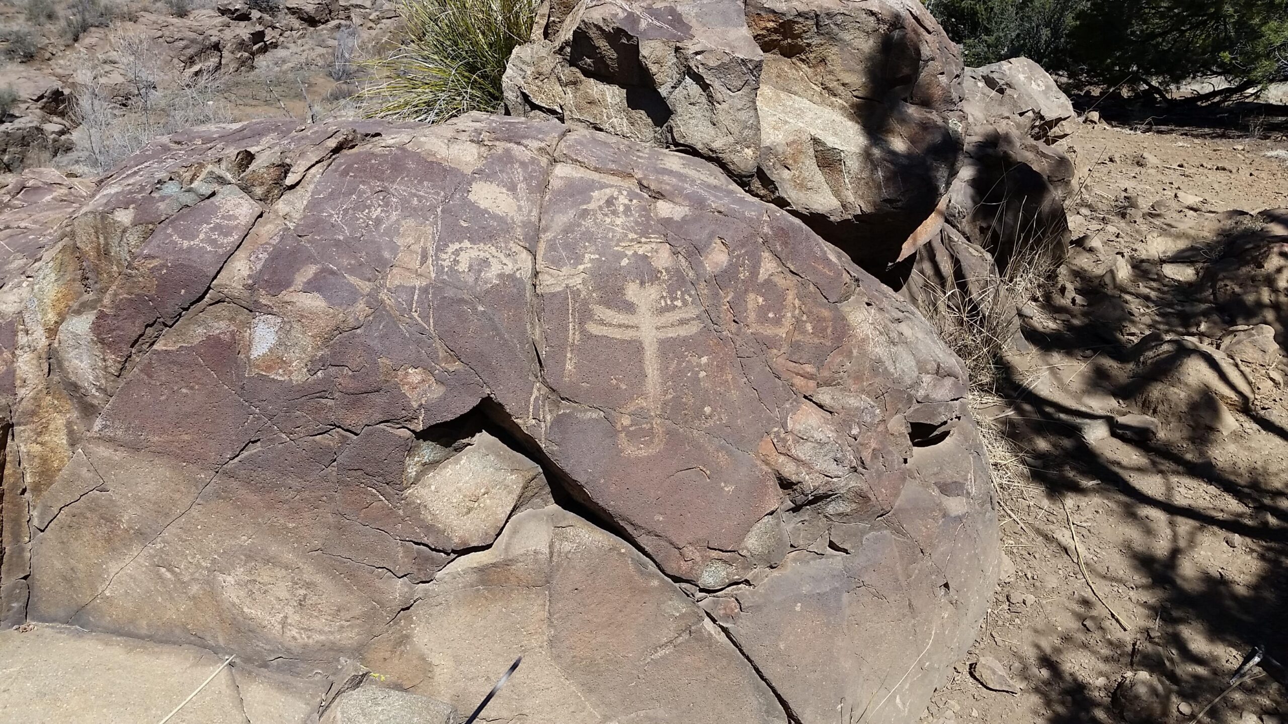 Rock surface featuring petroglyphs, including abstract designs and a cross-like symbol, set in a natural landscape with rocky terrain and sparse vegetation. Arenas Valley mountain bike trail.