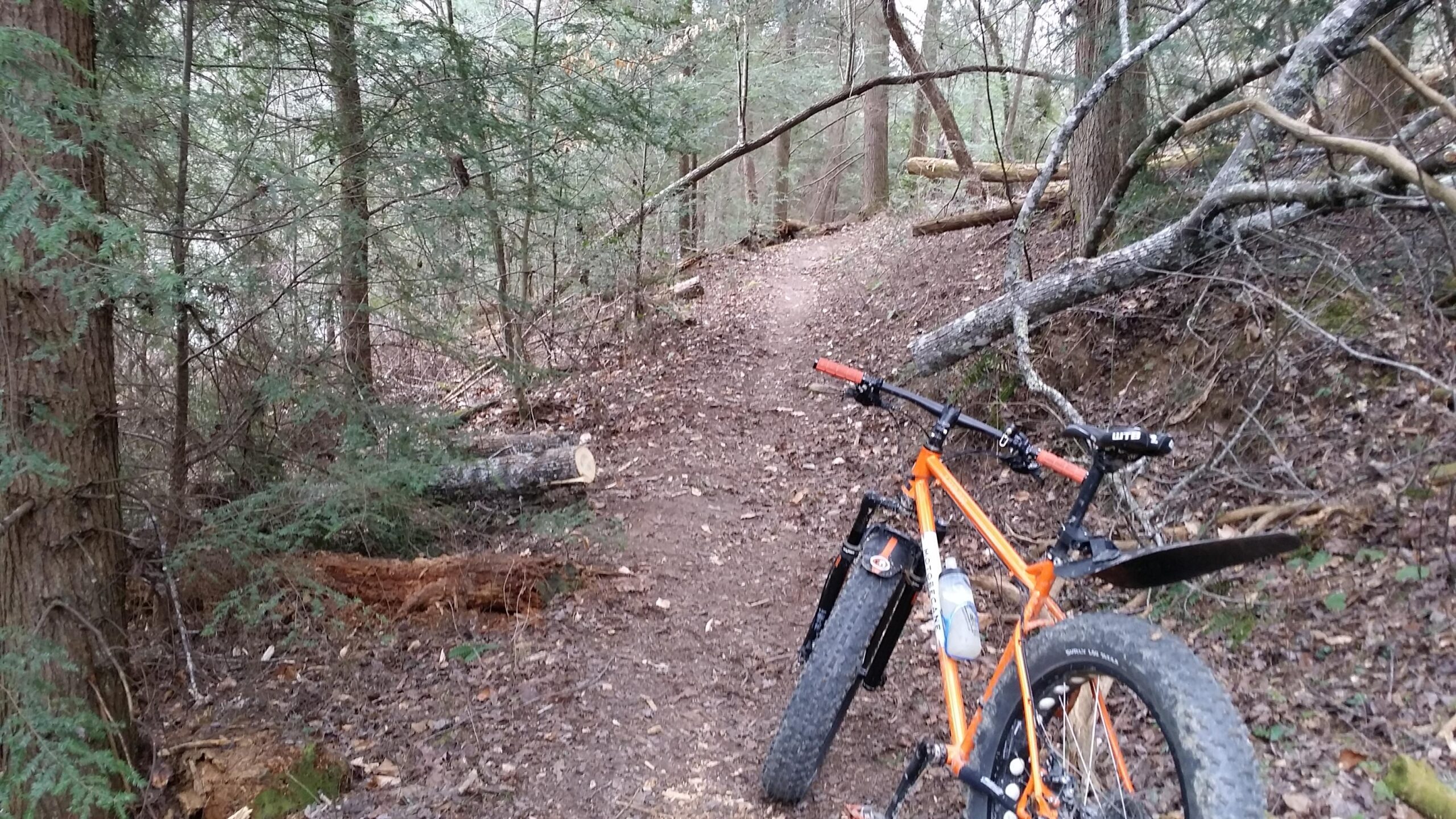 A mountain bike rests on a dirt path surrounded by dense trees and fallen branches in a forest setting. The bike features an orange frame and thick tires, with a water bottle attached. The scene captures the tranquility of nature and an inviting trail for biking. Sheltowee Trace - Laurel Lake Trail mountain bike trail.