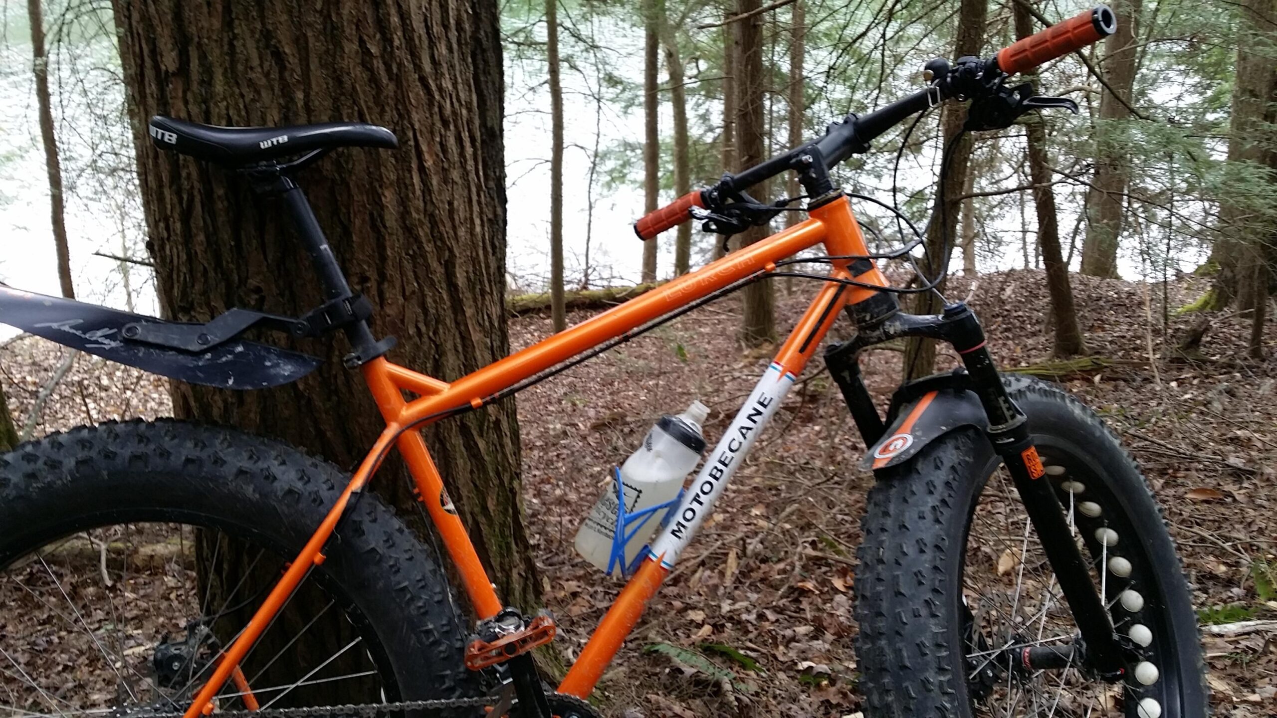 A close-up view of a bright orange fat bike leaning against a tree in a forest setting. The bike features large, knobby tires suitable for rugged terrain and a water bottle mounted on the frame. In the background, softly focused trees and a glimpse of a body of water can be seen, adding to the outdoor atmosphere. Sheltowee Trace - Laurel Lake Trail mountain bike trail.