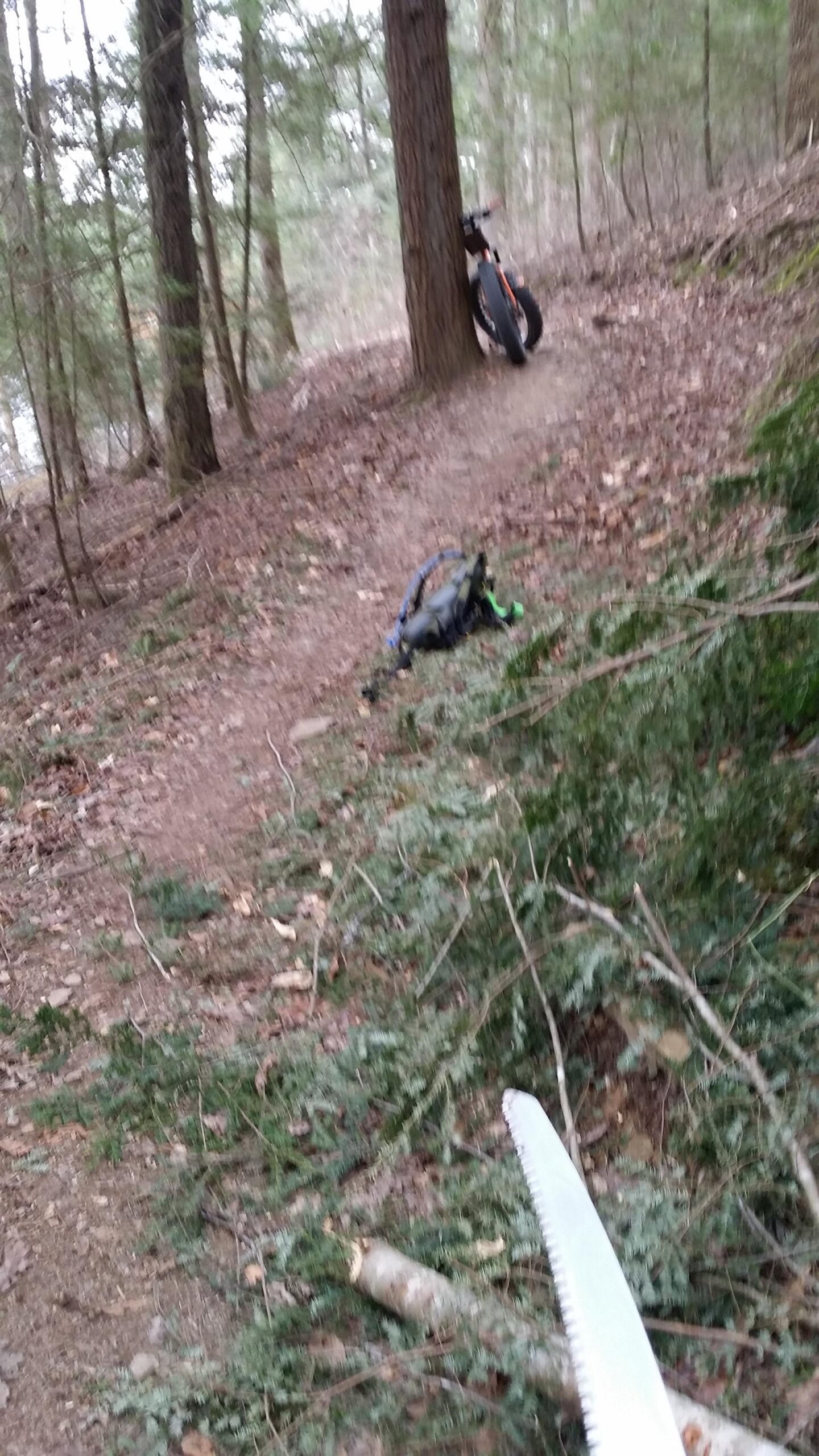 A wooded trail with a hiking backpack lying on the ground, and a handsaw partially visible in the foreground. A fat-tire bike is resting against a tree in the background, surrounded by fallen branches and pine needles. Sheltowee Trace - Laurel Lake Trail mountain bike trail.