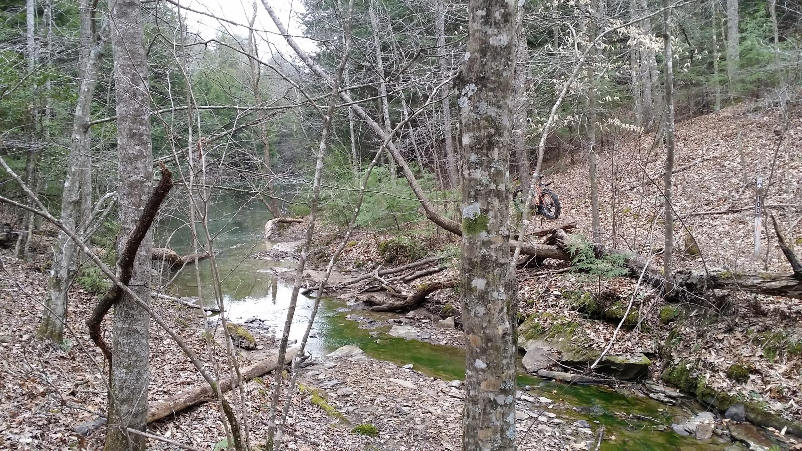 A serene forest scene featuring a small stream running through a wooded area. The landscape includes bare trees and fallen leaves, with a few rocks visible in the water. A motorcycle is parked on the hillside in the background, alongside a trail marker indicating a trail number. Sheltowee Trace - Laurel Lake Trail mountain bike trail.