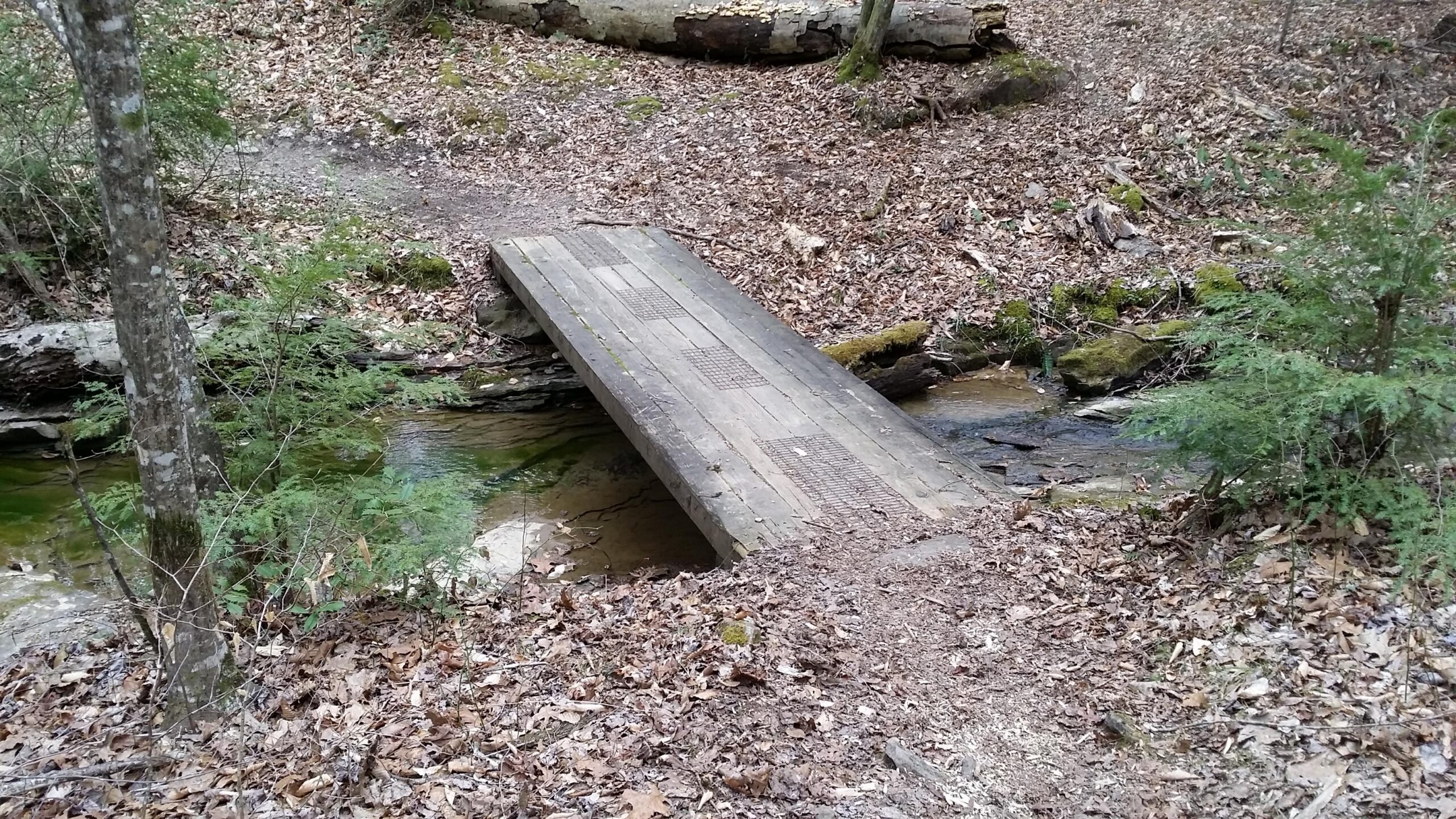 A wooden bridge crossing a shallow stream in a forested area, surrounded by fallen leaves and sparse vegetation, with trees and rock formations in the background. Sheltowee Trace - Laurel Lake Trail mountain bike trail.