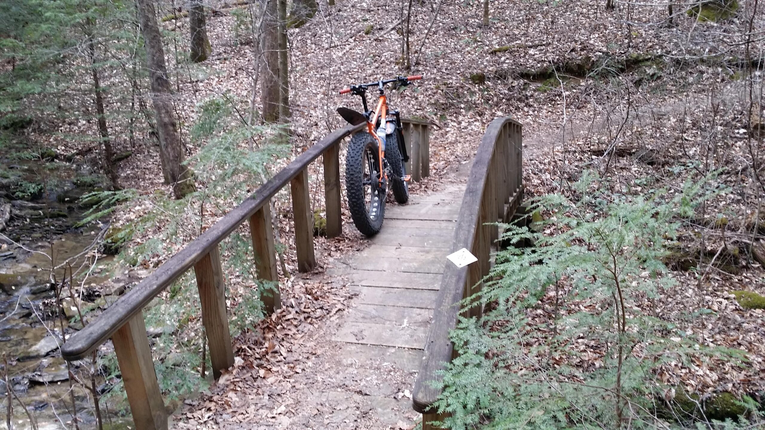 A mountain bike is parked on a wooden bridge in a forest setting, surrounded by trees and fallen leaves. A small stream can be seen flowing beneath the bridge, with greenery along the banks. Sheltowee Trace - Laurel Lake Trail mountain bike trail.