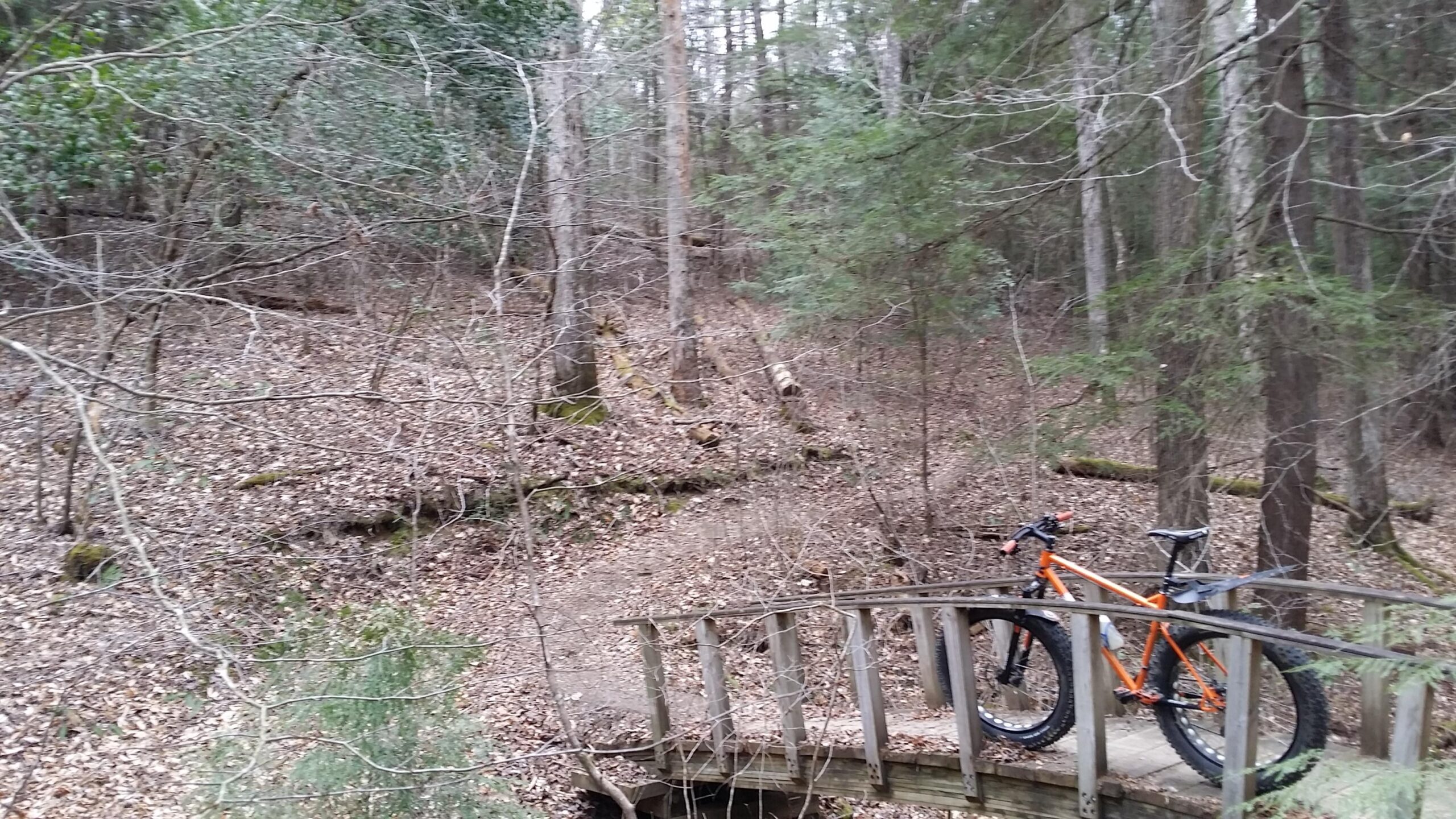 A mountain bike with thick tires is parked on a wooden bridge, surrounded by a wooded area with bare trees and scattered leaves. A narrow dirt path winds through the forest in the background. Sheltowee Trace - Laurel Lake Trail mountain bike trail.