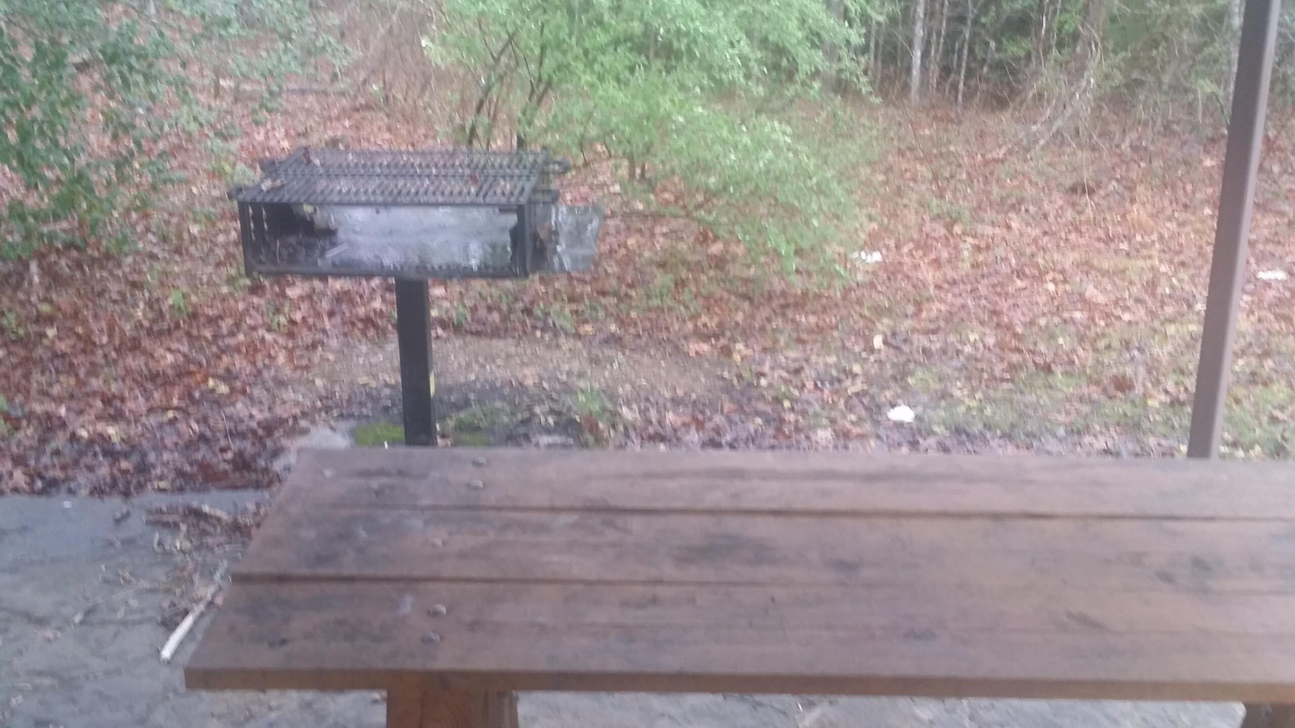 A wooden picnic table in the foreground with a charcoal grill in the background, surrounded by a wooded area with fallen leaves on the ground. Sheltowee Trace - Laurel Lake Trail mountain bike trail.