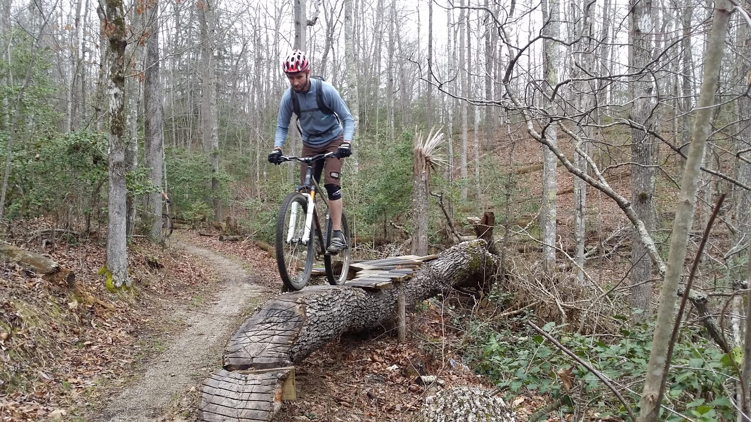 A mountain biker navigating a wooden bridge made from logs in a forested trail. The rider is wearing a red helmet and cycling gear, with their bike in mid-air as they approach a small jump. Surrounding the trail are trees with bare branches and patches of green foliage. Sheltowee Trace - Laurel Lake Trail mountain bike trail.